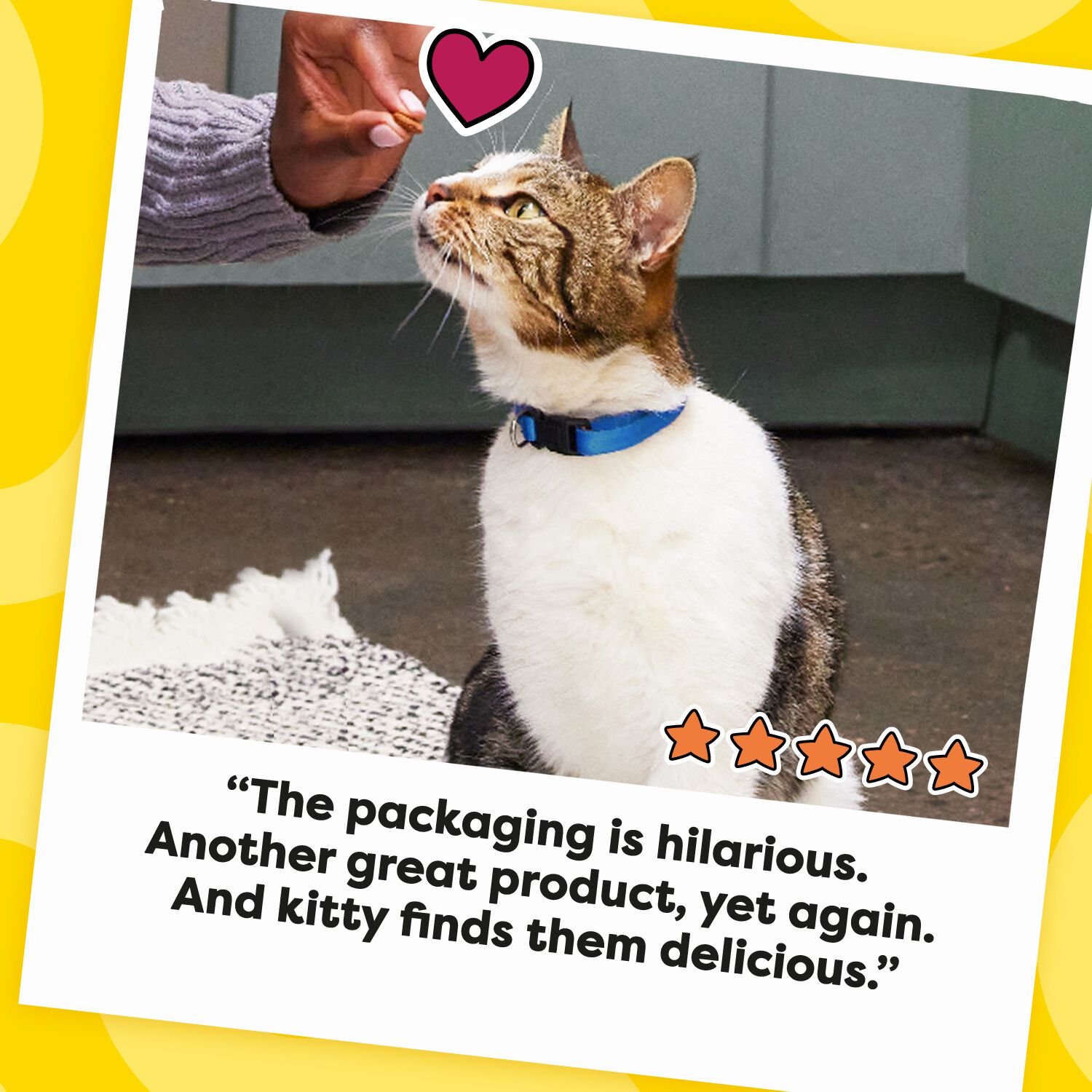 Temptations Mixups Tasty Human Chicken, Liver & Beef Flavors Cat Treats, 3-Oz