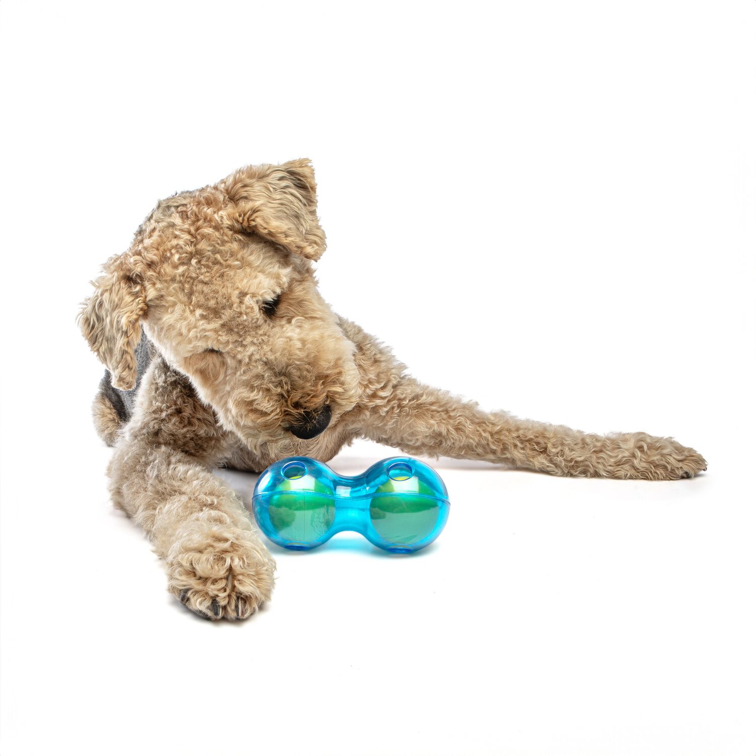 Guru Duo Ball Interactive Treat Dispensing Dog Toy, Medium