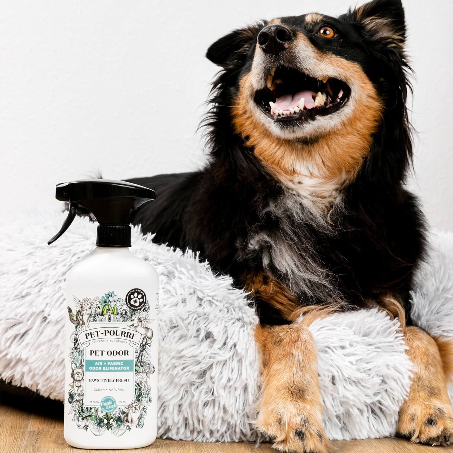 Pet-Pourri Pawsitively Fresh Odor Eliminator Air & Fabric Spray, 16-Oz