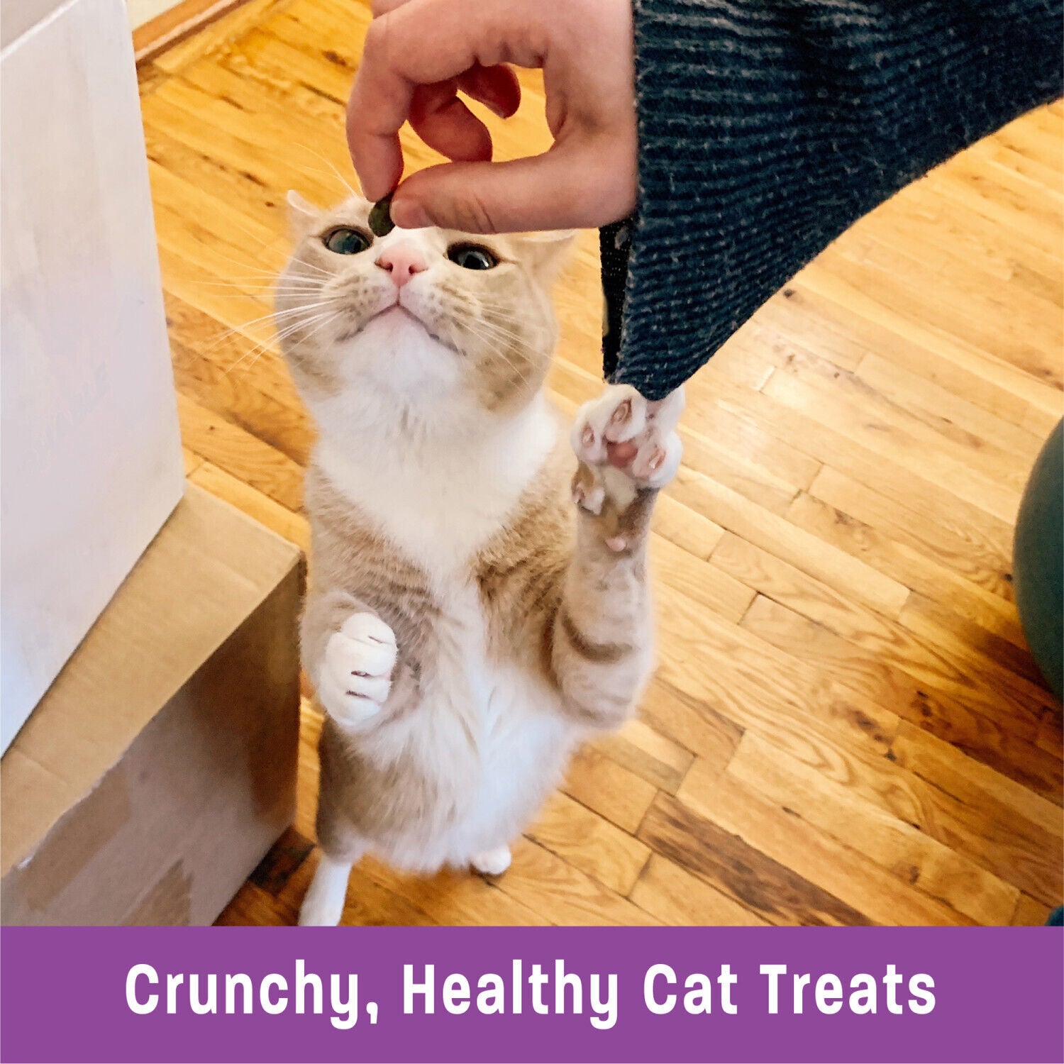 Wellness Kittles Crunchy Natural Grain-Free Cat Treats, Chicken & Cranberry, 2-Ounce Bag
