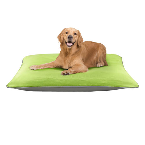 Reversible Pet Pillow - Green/Grey