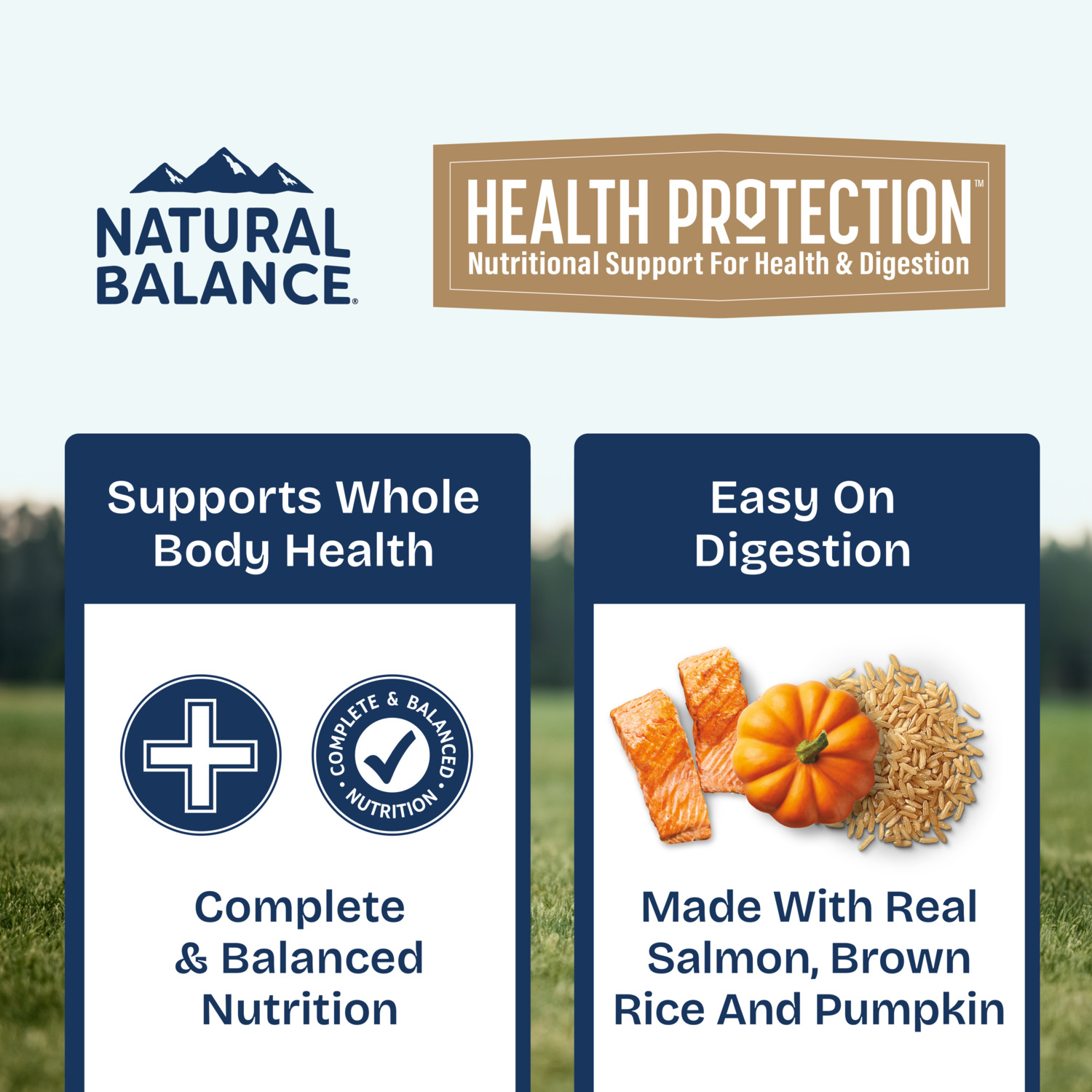 Natural Balance Health Protection Wet Dog Food, Salmon Broth, Salmon, Pumpkin & Brown Rice Stew, 12.5-Oz Can