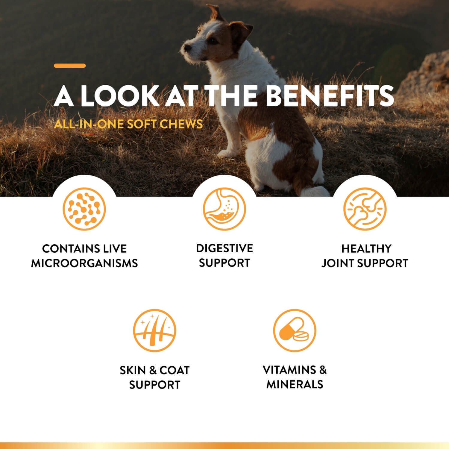 Naturvet All-In-One Vitamin Dog Soft Chews