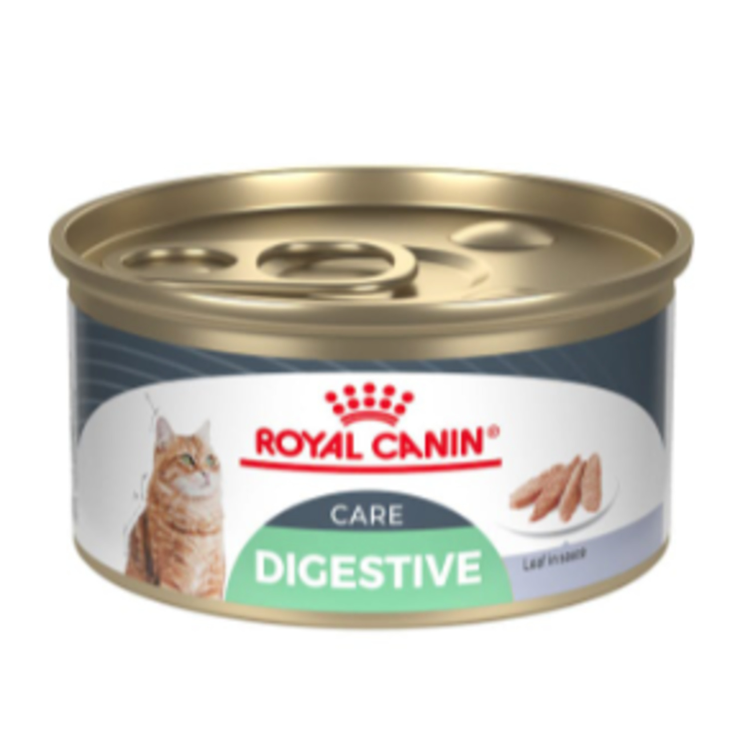 Royal Canin Feline Care Digestive Care Loaf In Sauce Wet Cat Food, 3 Oz