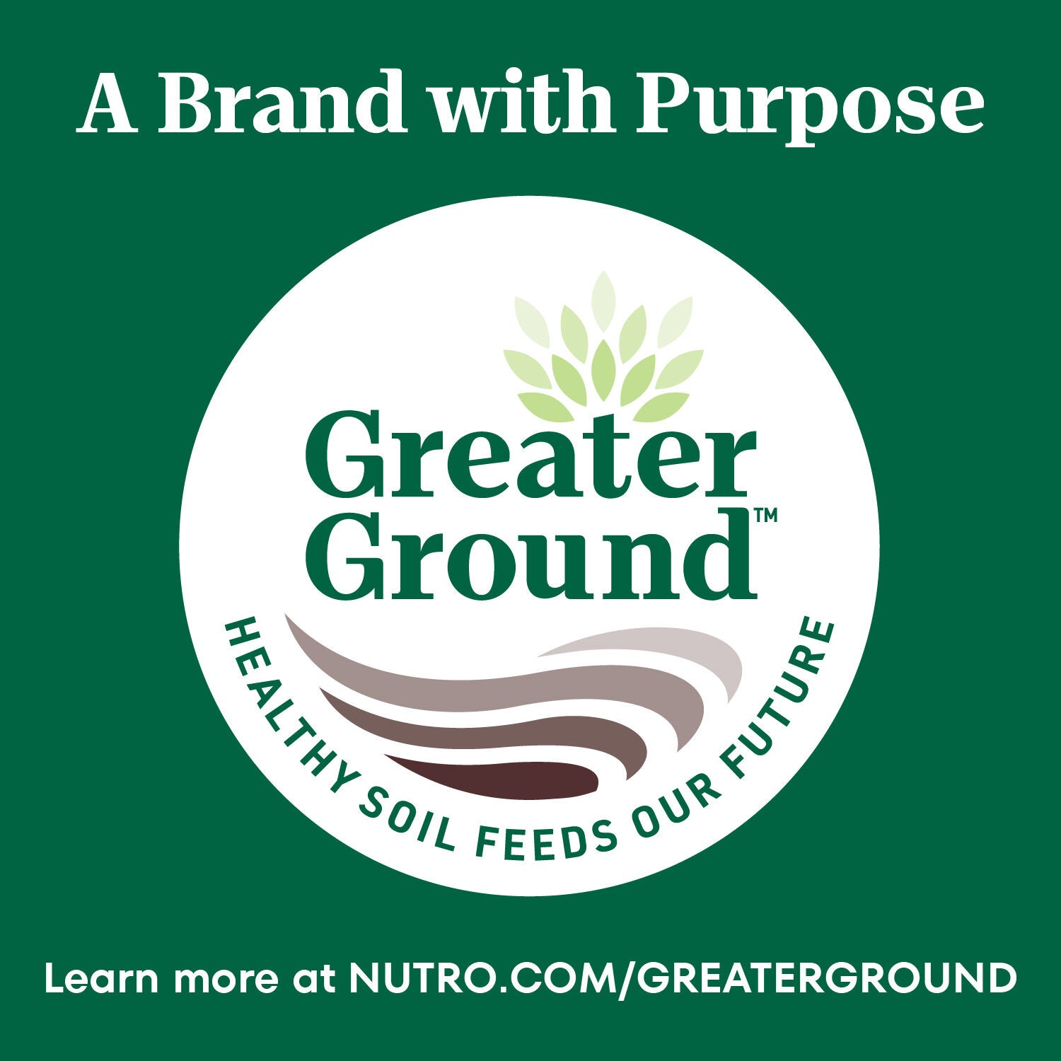 Nutro Wholesome Essentials Chicken & Brown Rice Recipe Dry Cat Food, 5-Lb Bag