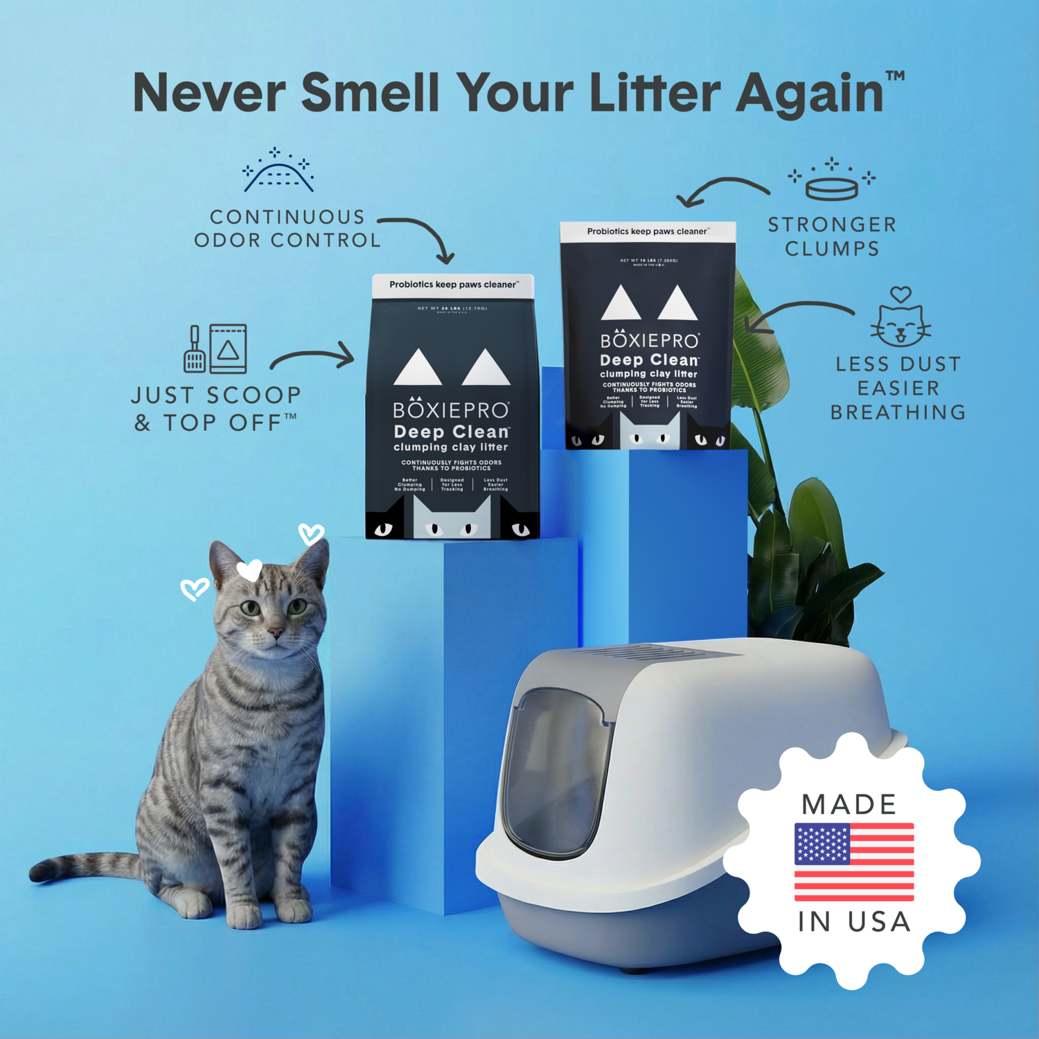 Boxiecat Pro Self Cleaning Probiotic Clumping Clay Cat Litter, 40-Lb