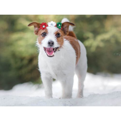 Fashion Pet Holiday Flower Headband For Dogs And Cats