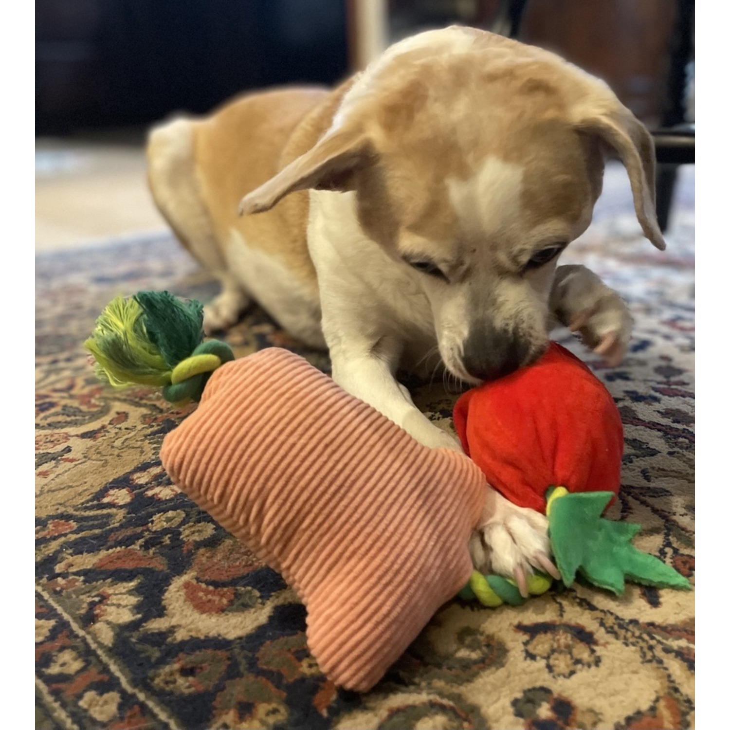 #Bff Sunny Daze Flower Surprise Interactive Fetch & Tug Dog Toy, 14"