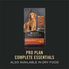 Savor Adult Grain Free Classic Chicken & Carrots Entree Dog Food thumbnail number 15