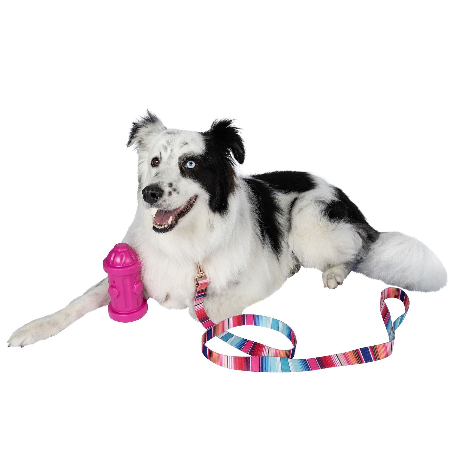 Chews Hues Pink Hydrant Squeaker Medium To Large Sized Dog Toy