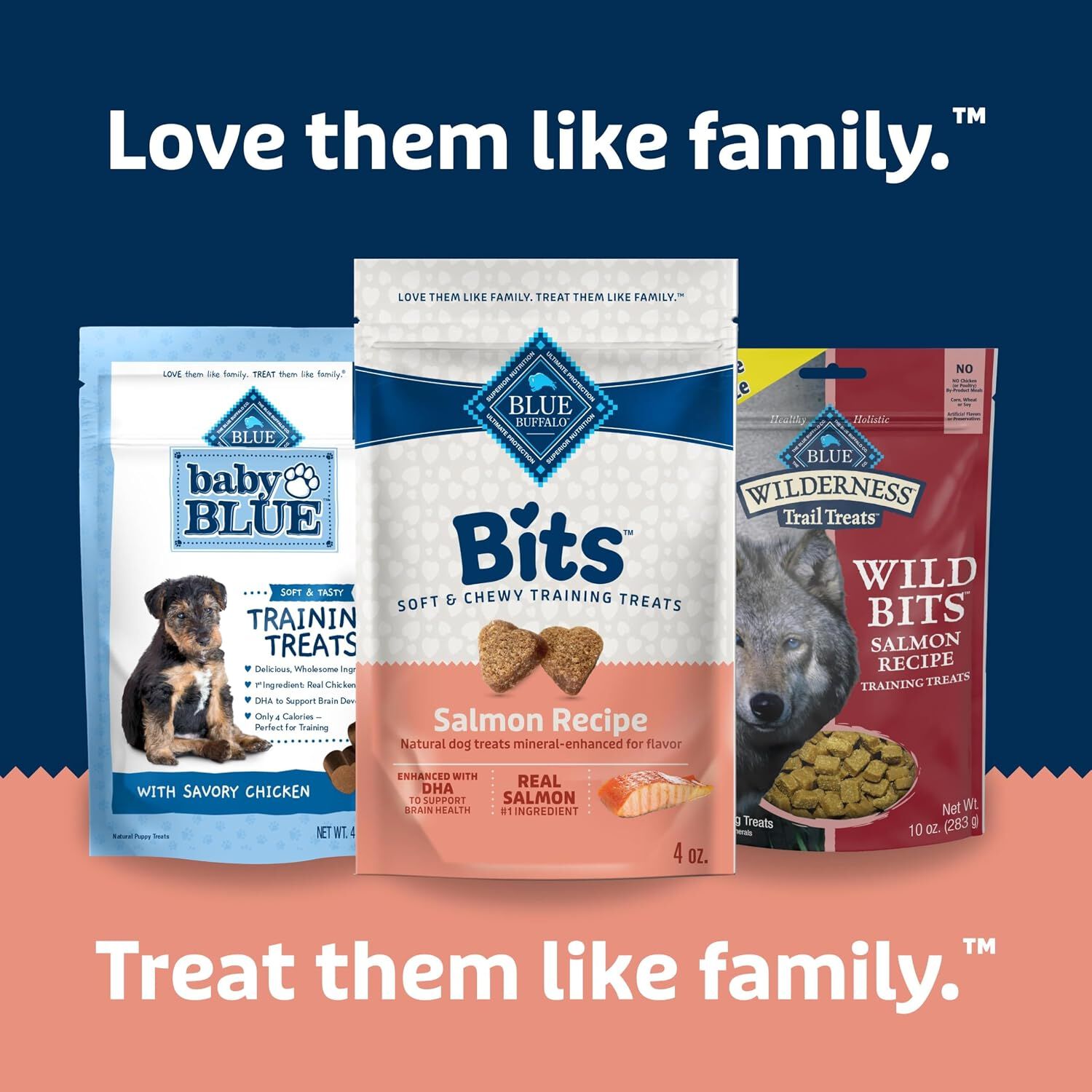 Blue Buffalo Blue Bits Soft-Moist Training Savory Salmon Recipe Dog Treats, 4-Oz Bag
