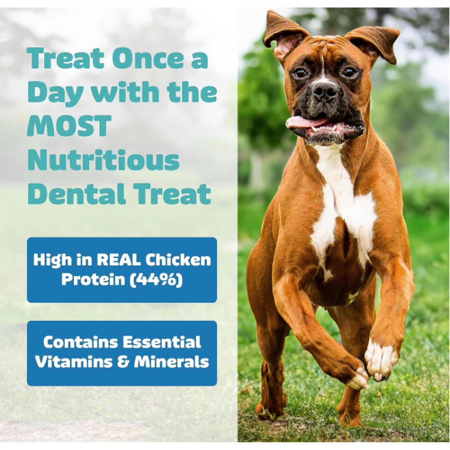 Yummy Combs Adult Medium Dog Dental Treats, Chicken, 1 Pack