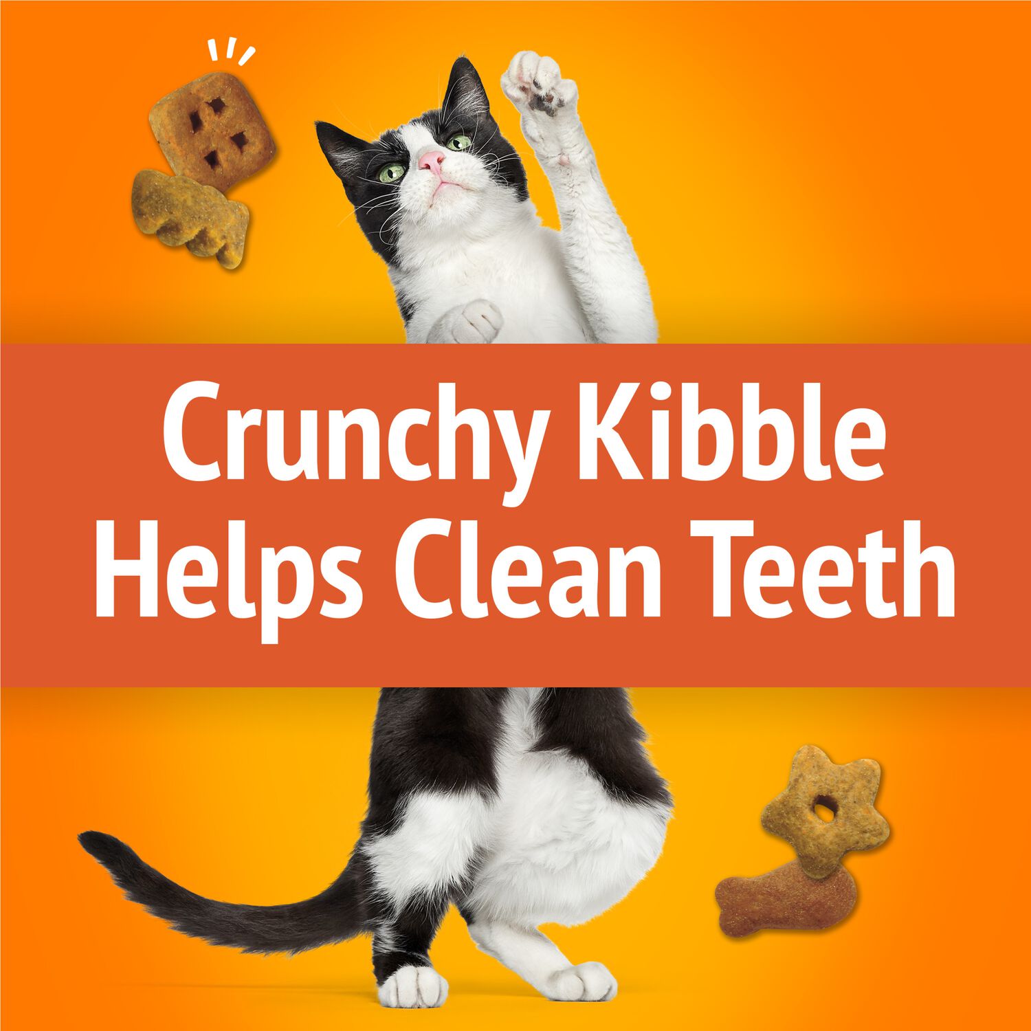 Purina Friskies Party Mix Original Crunch Cat Treats, Chicken With Turkey & Liver Flavor, 30-Oz