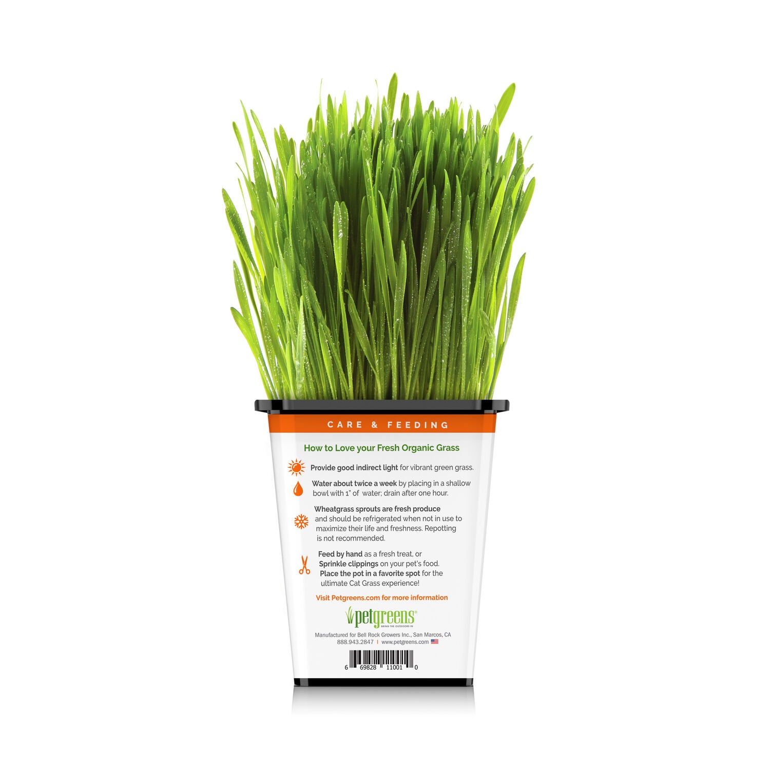 Pet Greens Live Cat Grass Natural Cat Treat