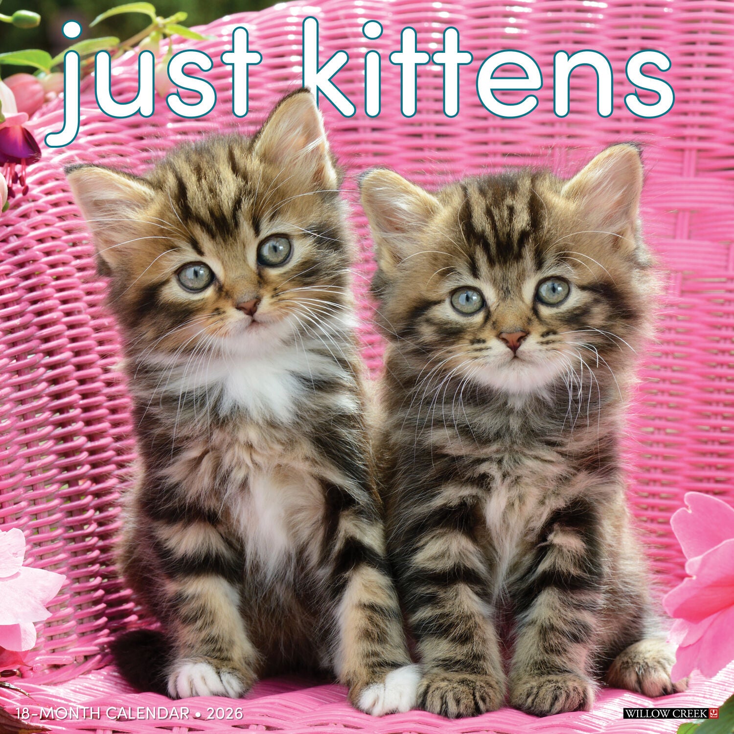 Willow Creek Press 2026 Kittens Wall Calendar