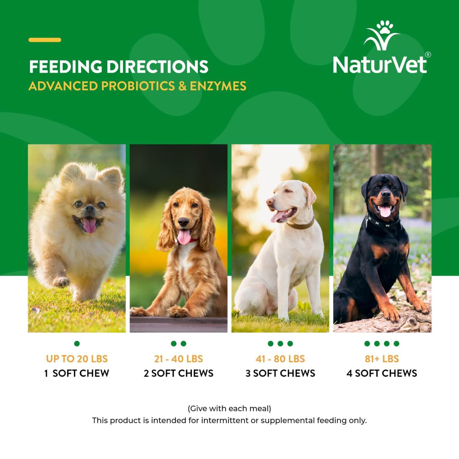 Naturvet Advanced Probiotics And Enzymes Supplement, Plus Vet Strength Pb6 Probiotic For Dogs