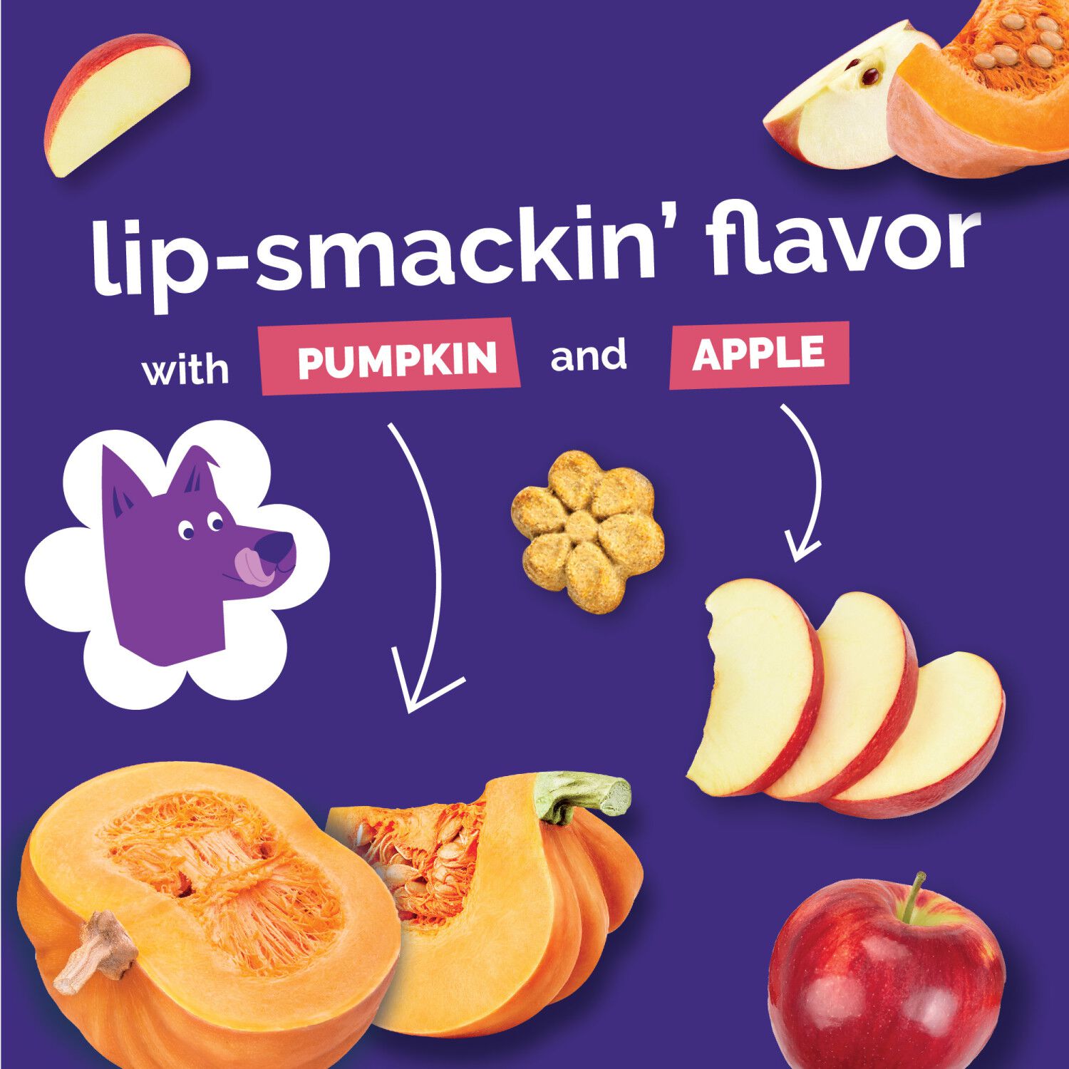 Fruitables Low Calorie Baked Crunchy Dog Treats,  Pumpkin & Apple, 12-Oz Bag