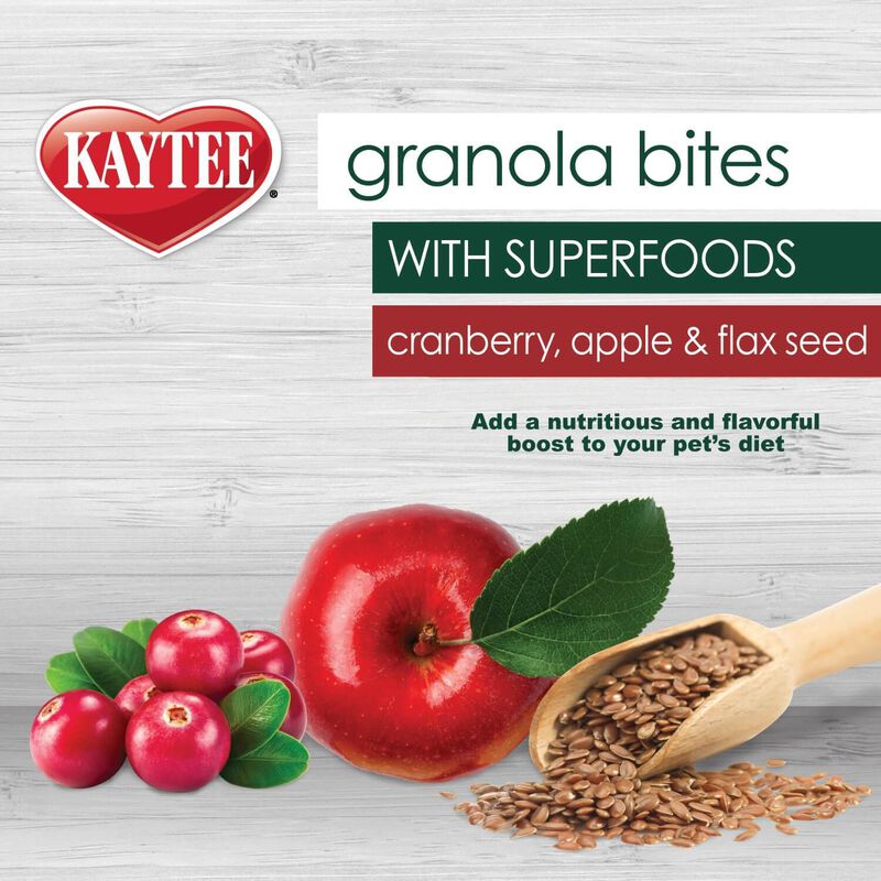 Kaytee Granola Bites With Superfoods, Cranberry, Apple & Flax