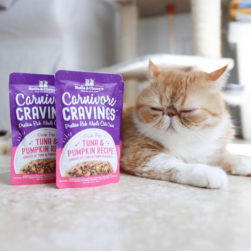 Carnivore Cravings Tuna & Pumpkin Recipe Cat Food image number 3