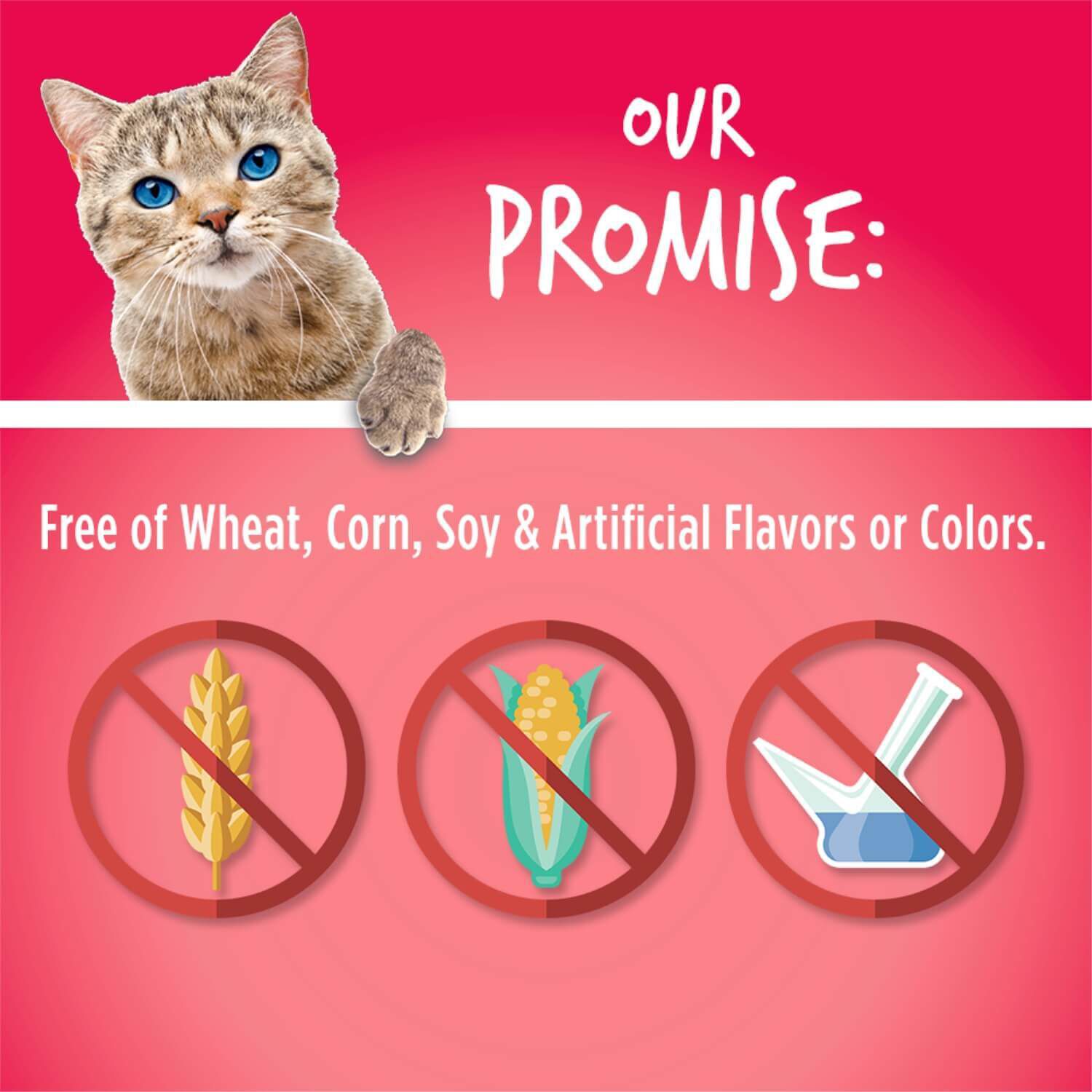 Fruitables Crunchy Salmon Cat Treats