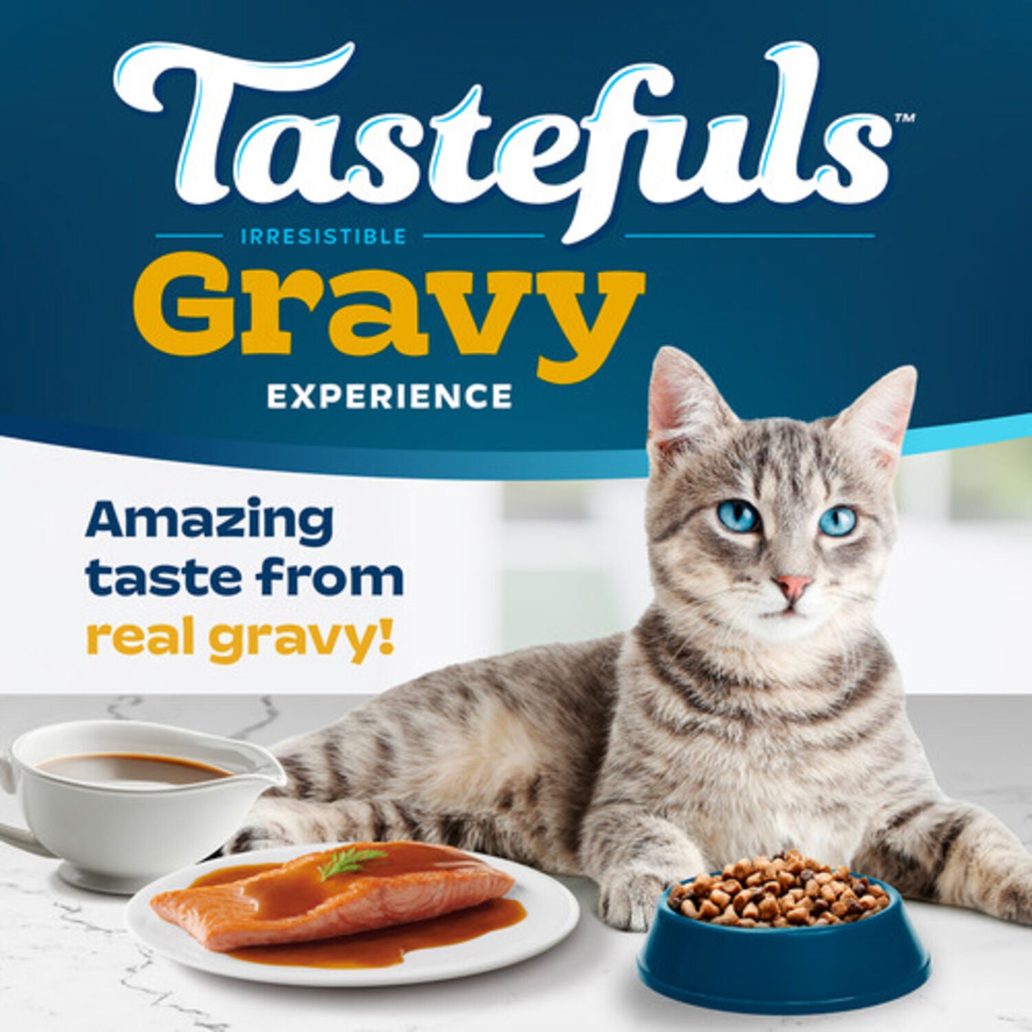 Blue Buffalo Tastefuls Irresistible Gravy Experience Salmon & Brown Rice Recipe Dry Cat Food, 7-Lb Bag