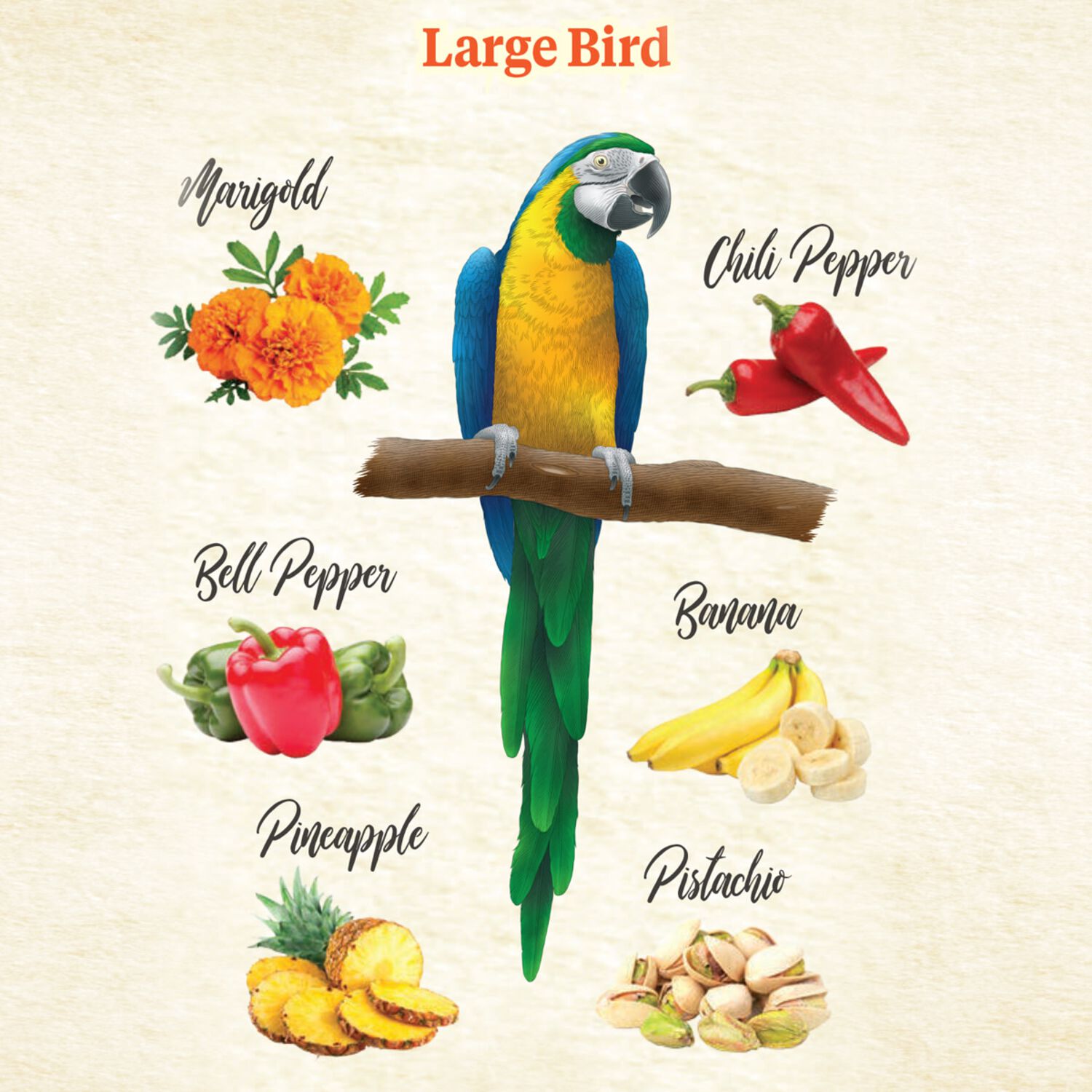 Kaytee Food From The Wild Limited Ingredient Natural Snack Medium & Large Bird Treats, 3-Oz
