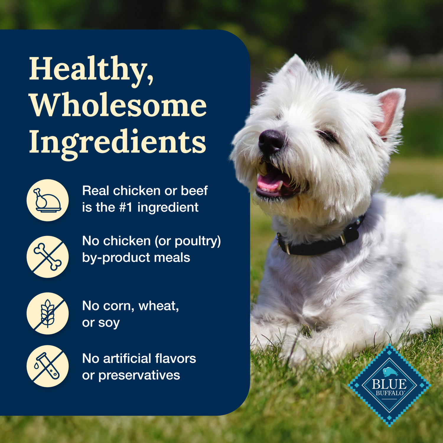 Blue Buffalo Delectables Chicken & Beef Dinner Variety Pack Grain-Free Wet Dog Food Topper, 3-Oz - Pack Of 12
