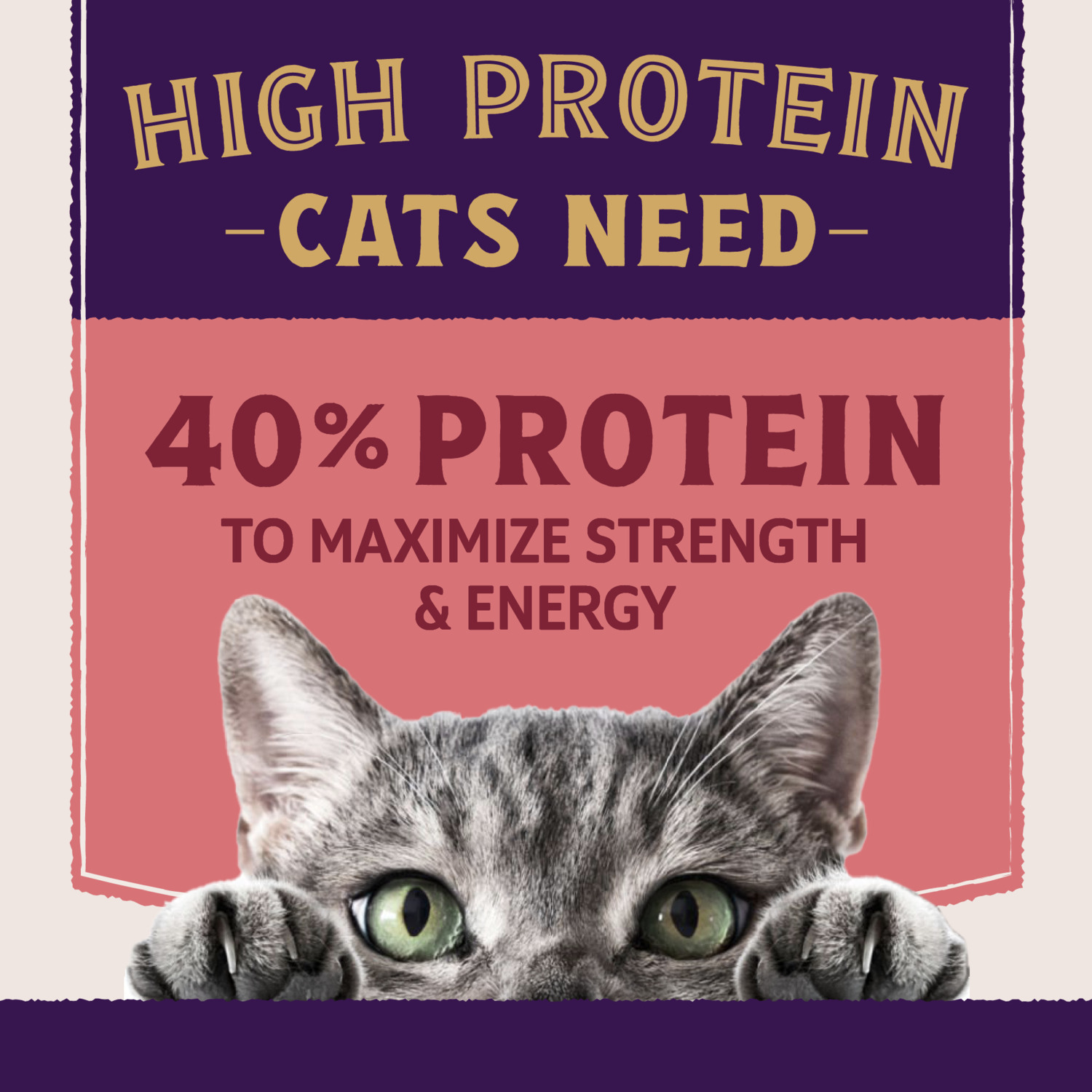 Natural Balance Ultra Protein Plus Dry Cat Food, Skin & Coat And Digestive Health, Real Salmon & Chicken Meal Recipe, 5 Lbs.