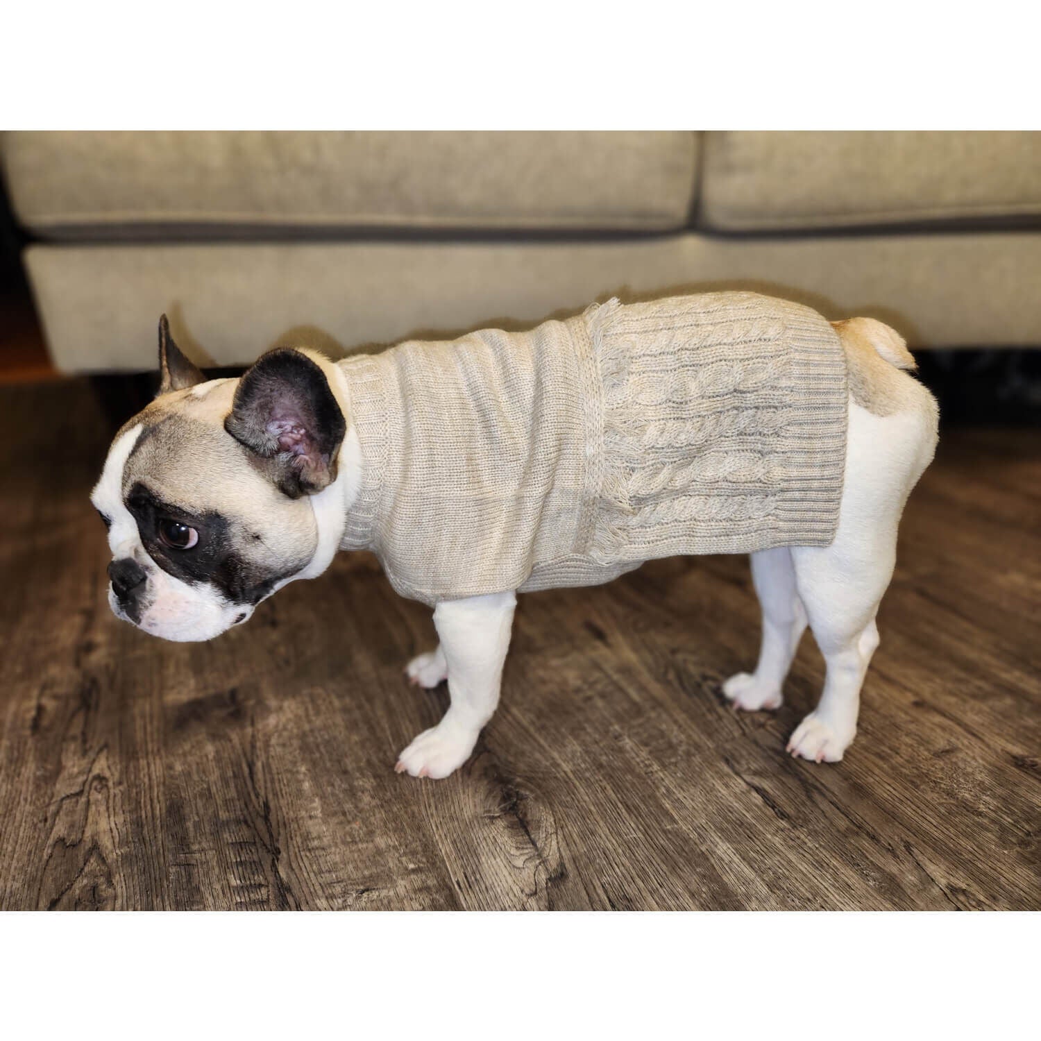 Bonefide Tan Short Sleeve Cables And Fringe Dog Sweater Pet