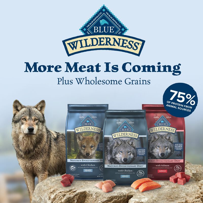 Wilderness Rocky Mountain Recipe Adult Recipe With Red Meat Dog Food image number 2