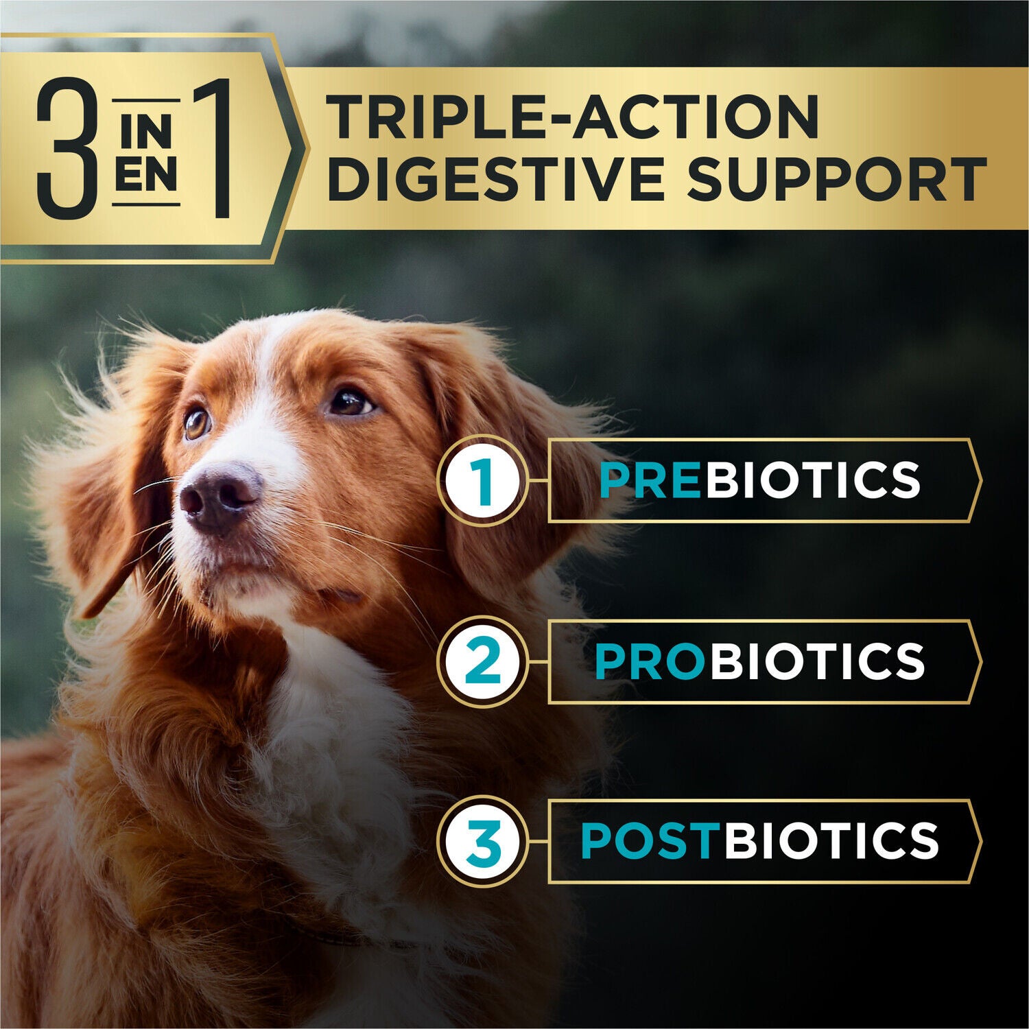 Purina Pro Plan Advantedge Digestive Support Plus Large Breed Salmon And Oat Meal Formula Adult Dry Dog Food - 22-Lb. Bag
