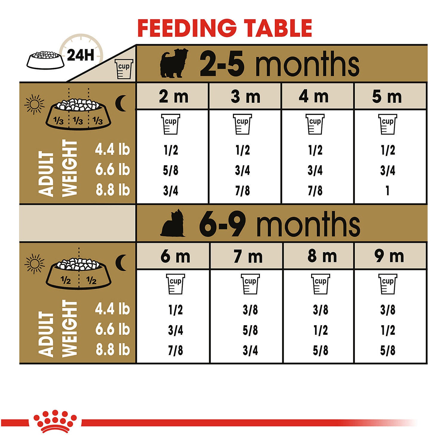 Royal canin yorkie puppy on sale
