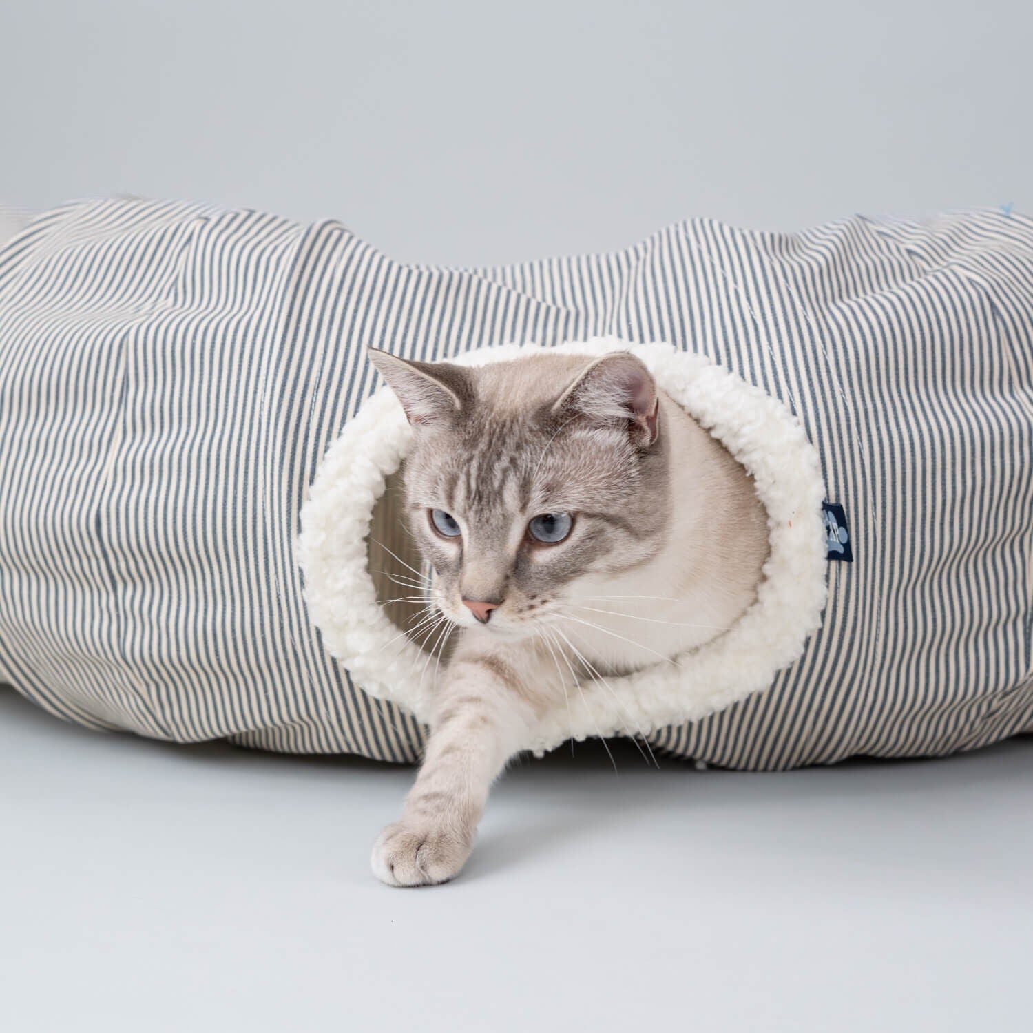 Gap Railroad Stripe Cat Tunnel & Cat Bed