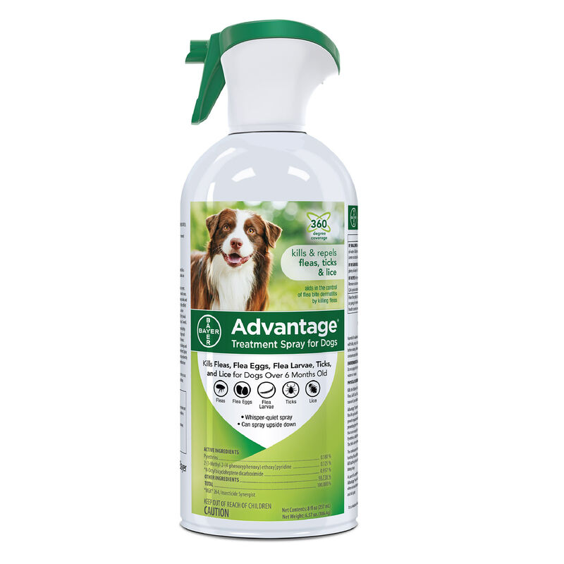 Flea And Tick Treatment Spray For Dogs | 15.99 USD | Pet Supermarket