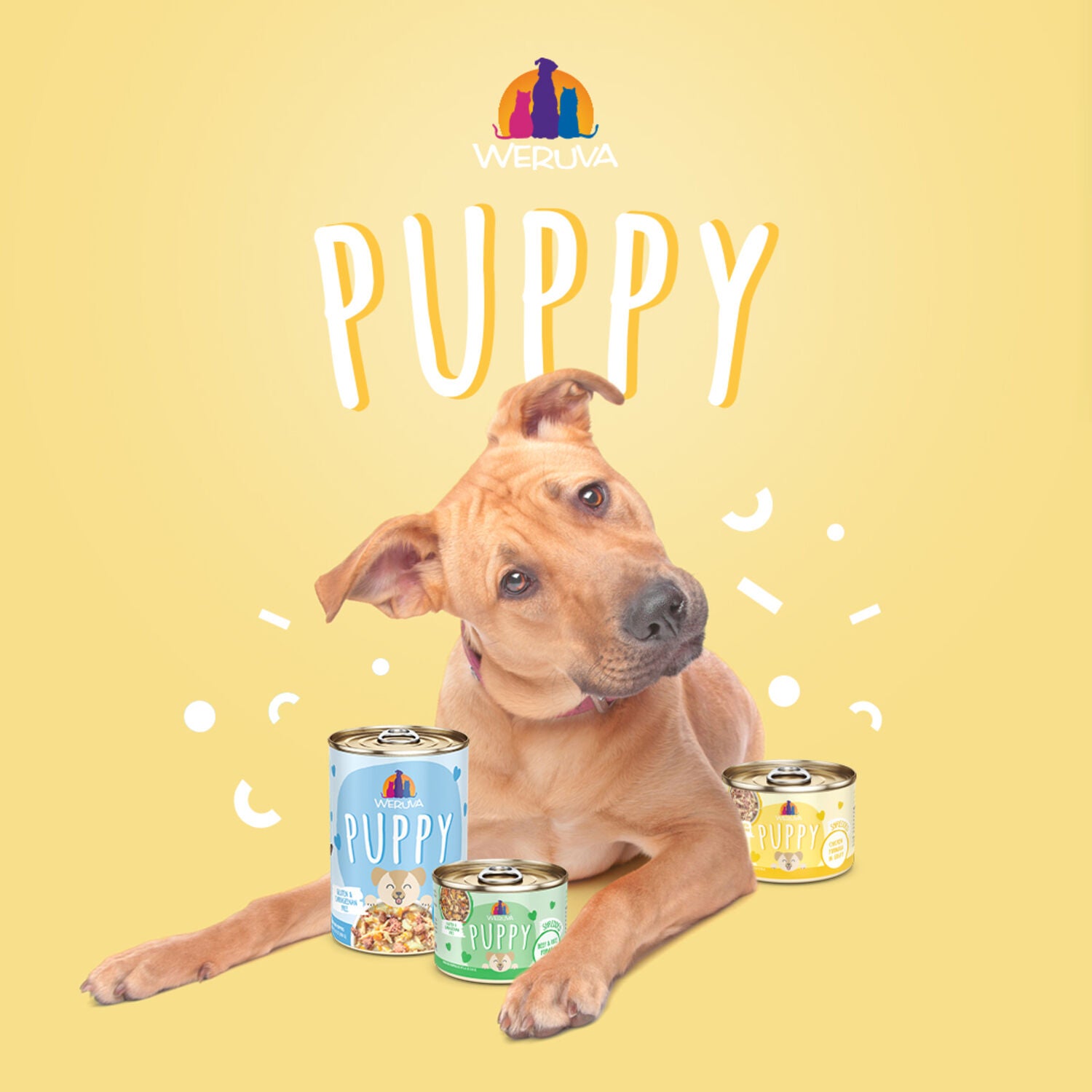 Weruva Puppy Chicken & Rice In Gravy Wet Dog Food, 14-Oz Pack Of 10