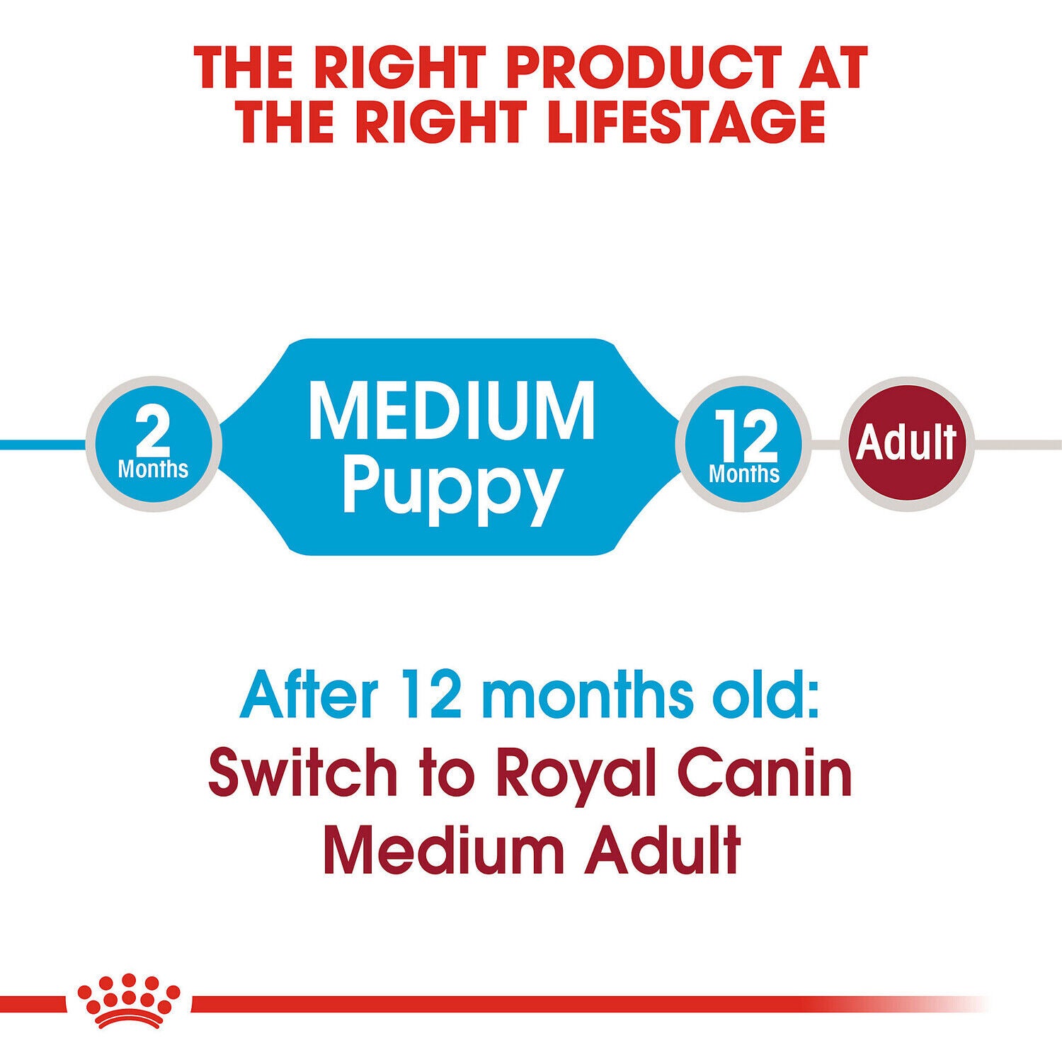 Royal Canin Size Health Nutrition Medium Puppy Dry Dog Food, 30Lb