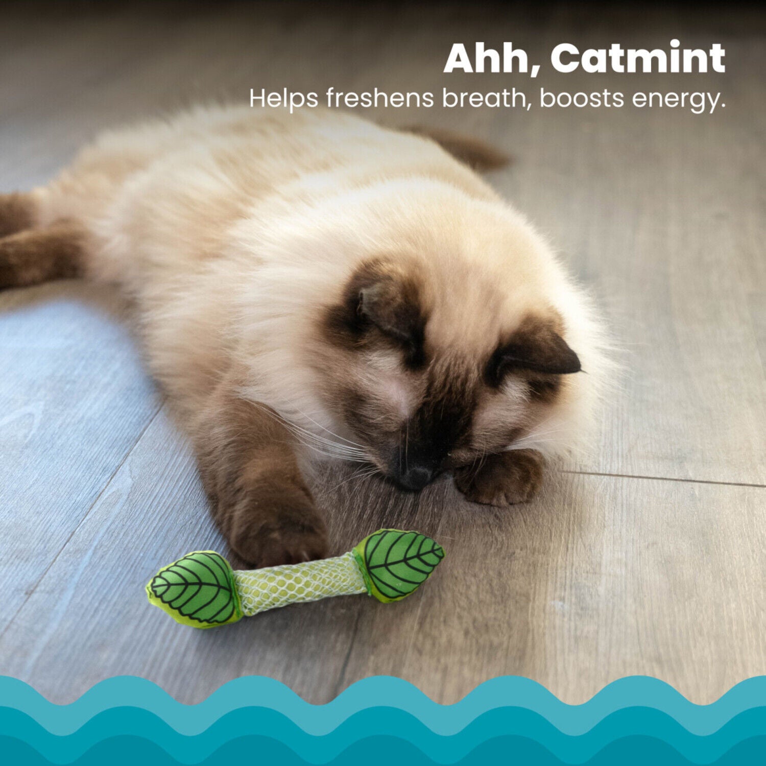 Catstages Fresh Breath Mint Stick Dental Chew Cat Toy