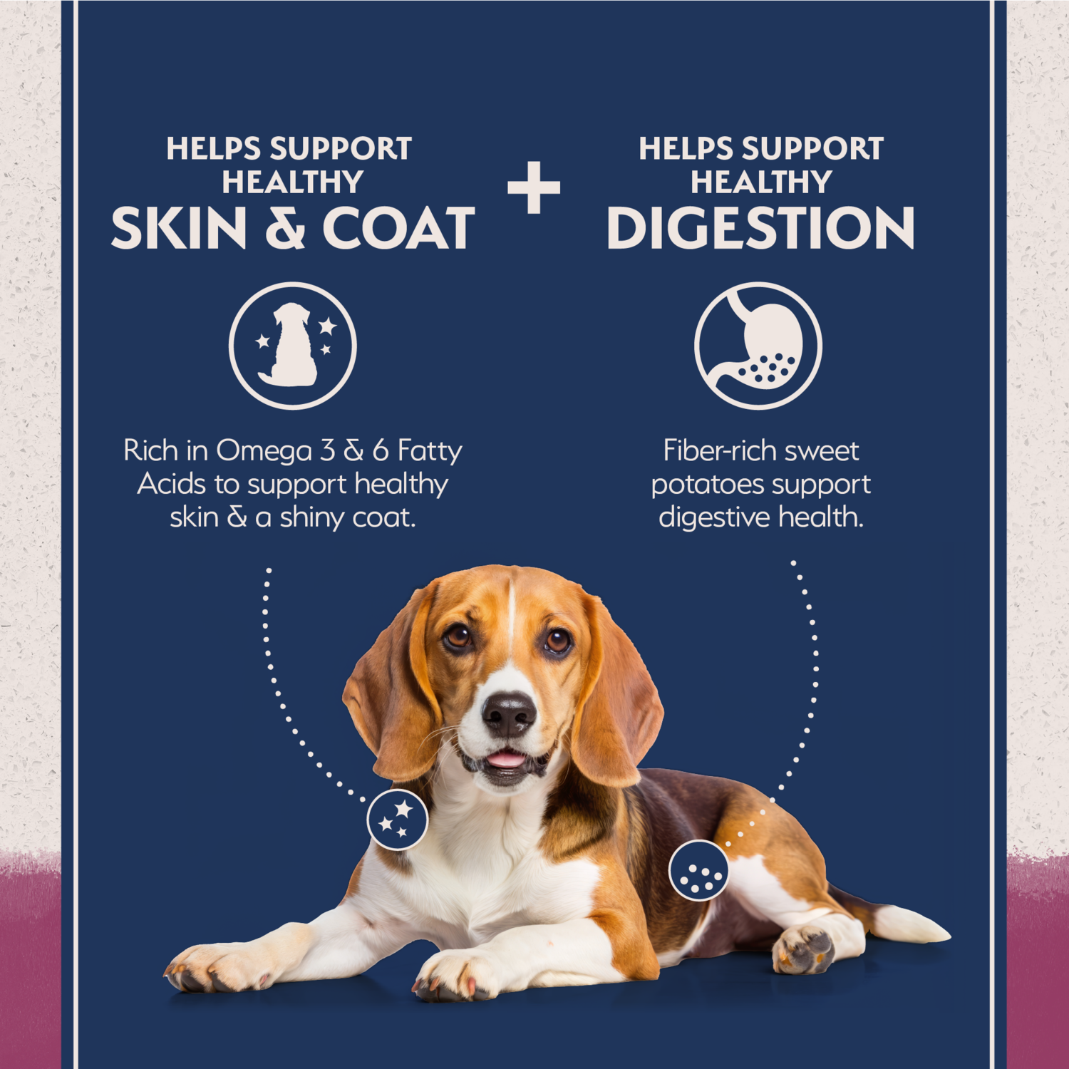 Natural Balance Limited Ingredient Reserve Grain Free Sweet Potato & Venison Recipe Dry Dog Food, 22Lb