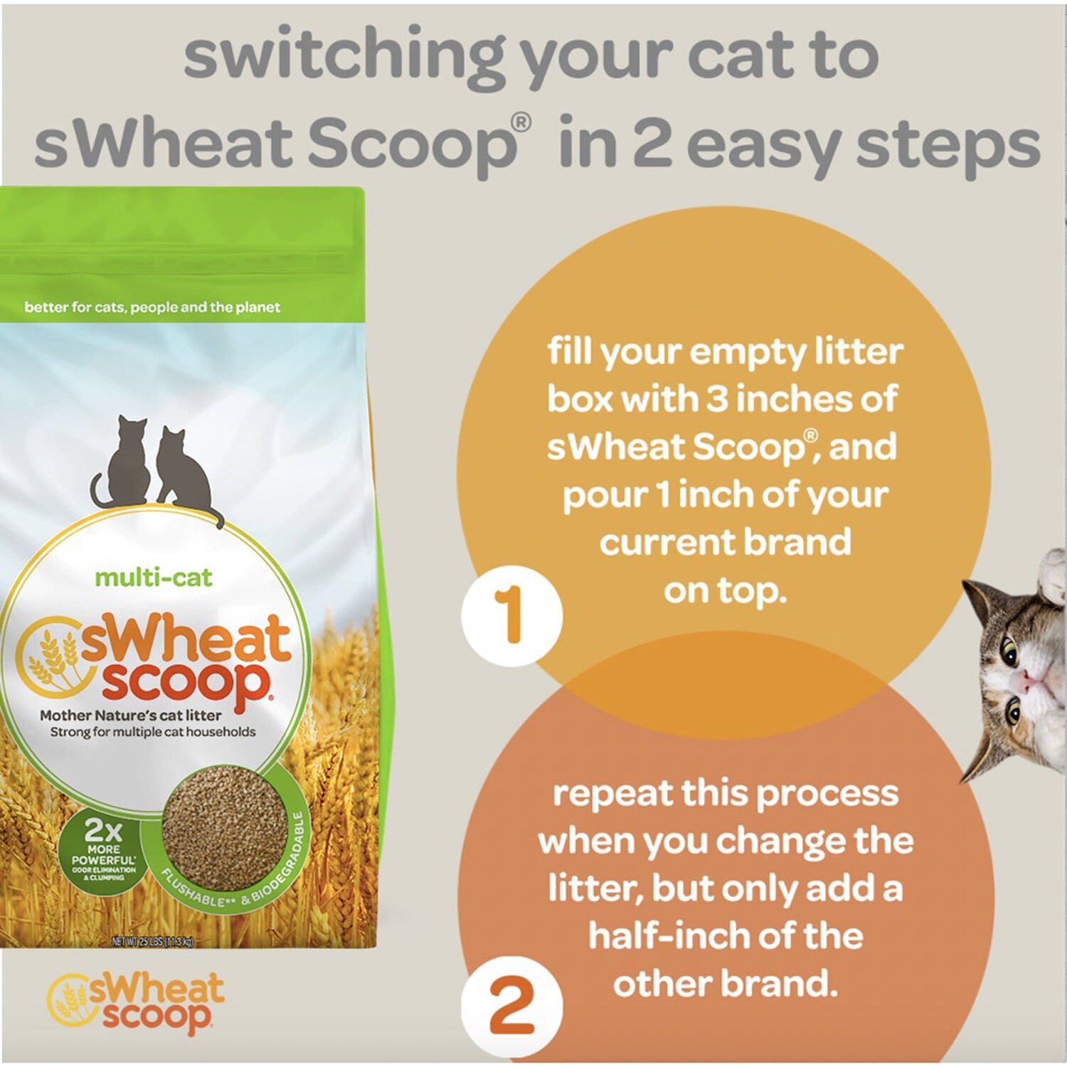 Fast Clumping Unscented Natural Clumping Wheat Litter 25lb Pet