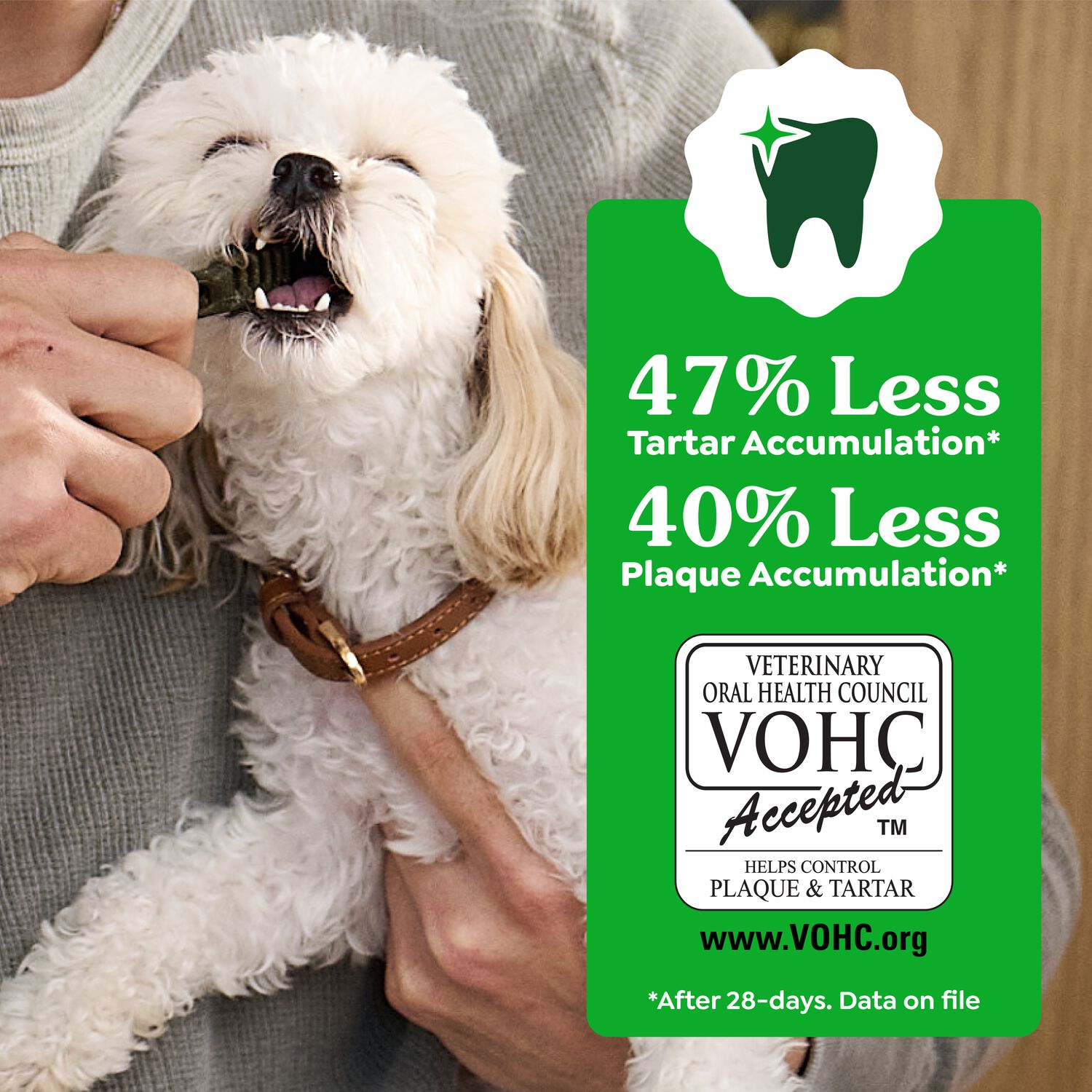 Greenies Natural Sweet Potato Flavor Dental Dog Treats, Teenie Size, 12-Oz, 43-Count