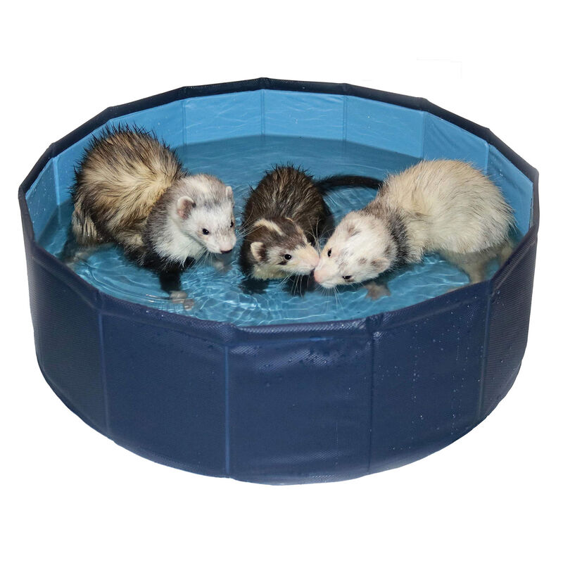 24 Inch Swimming Pool For Small Animals image number 1