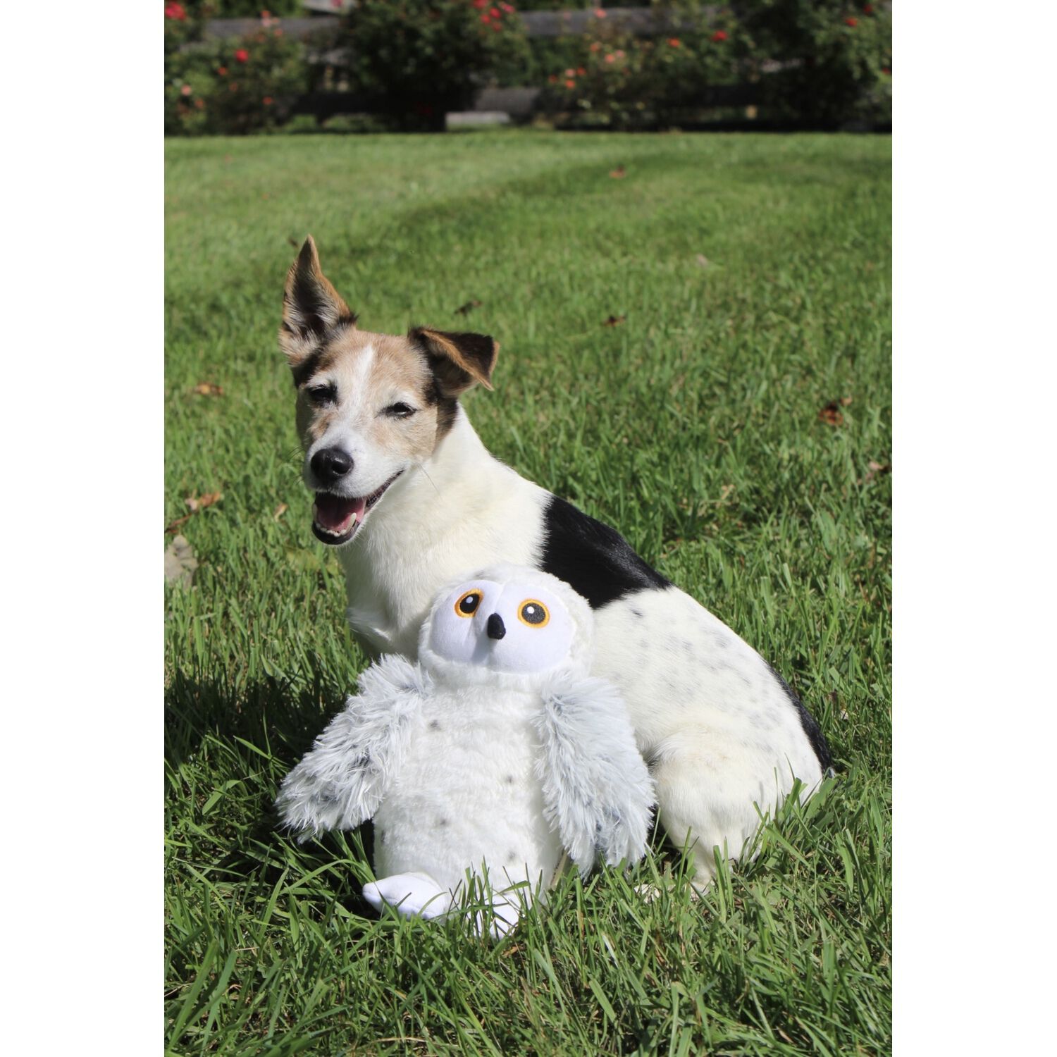 Tall Tails Animated Snow Owl Plush Dog Toy, 10"