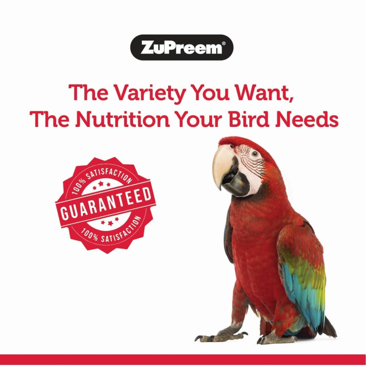 Zupreem Fruitblend Flavor With Natural Flavors Bird Food For Medium Birds