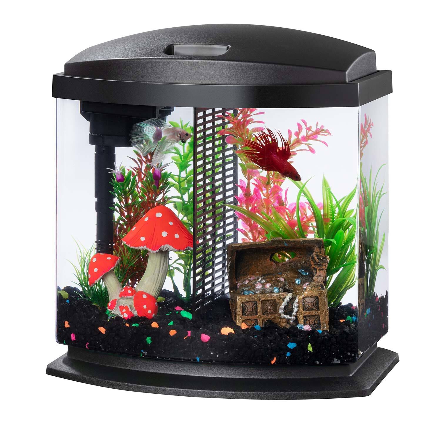 Aqueon Led Minibow Deskto Fish Aquarium Kit With Smartclean Technology