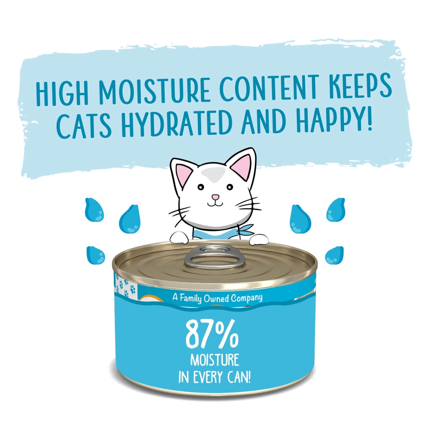 Weruva Classic Cat Pat&eacute; Press Your Lunch! With Chicken Wet Cat Food