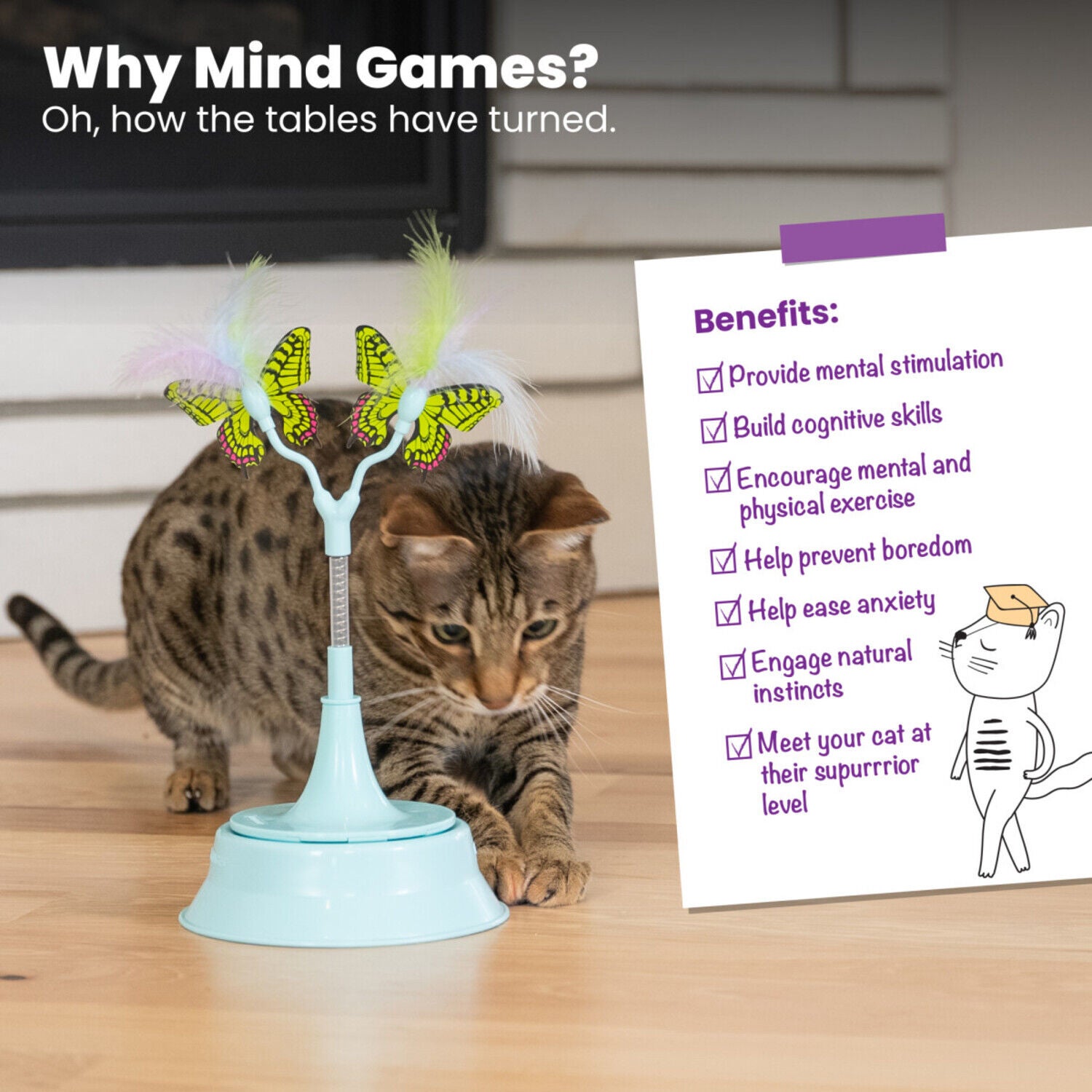 Catstages 2-In-1 Flutter Bug Interactive Cat Toy