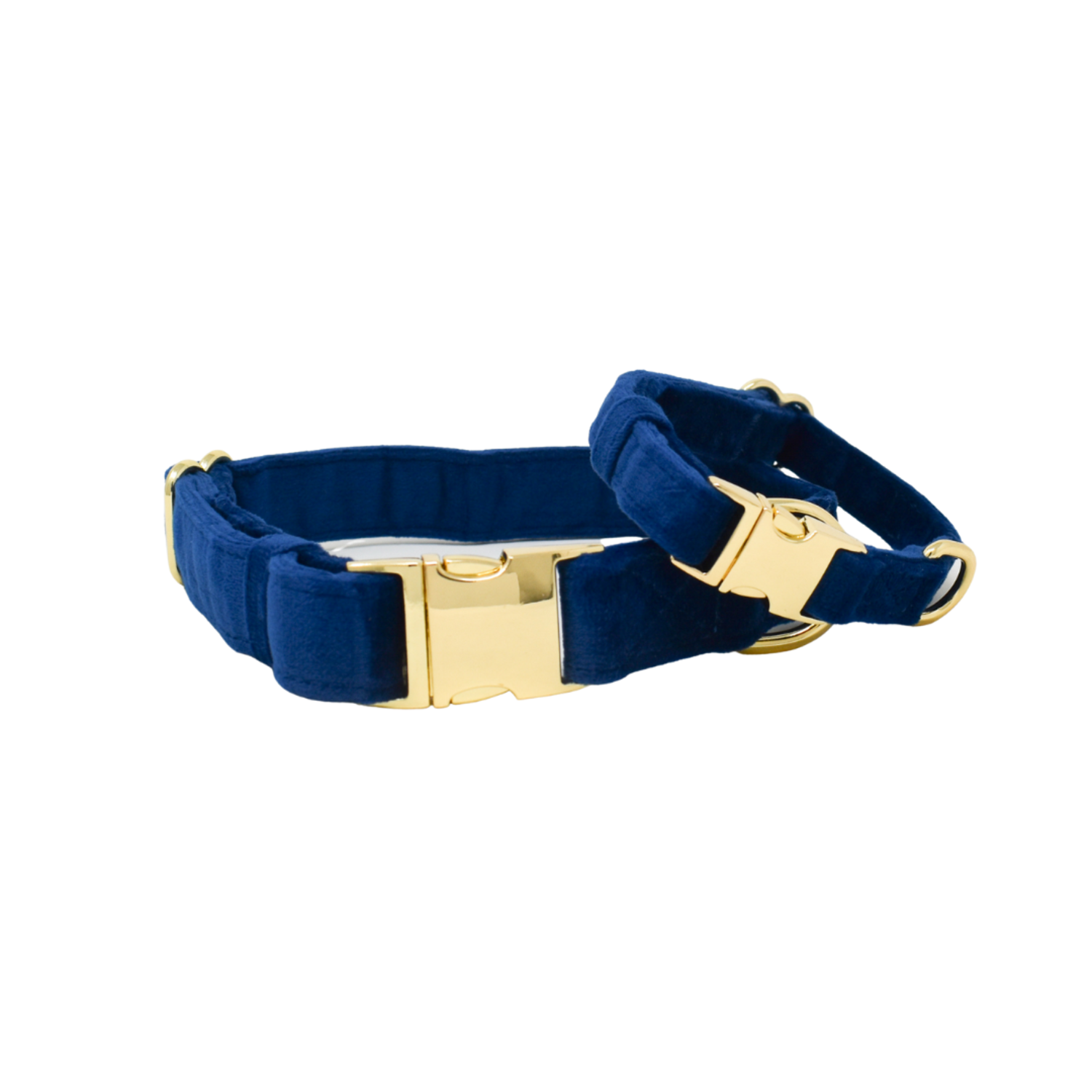 Pink Papyrus Channing Velvet With Gold Buckle Adjustable Dog Collar, Royal Blue, Medium 13-19"