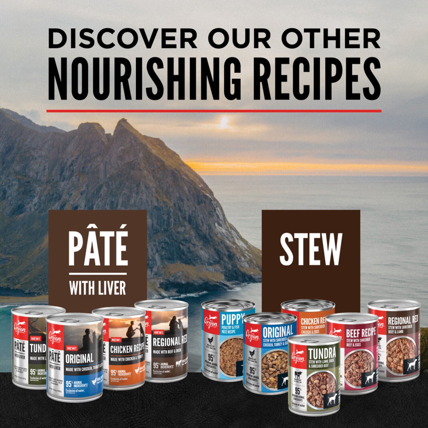 Orijen Real Meat Shreds Wet Dog Food, Regional Red Stew Recipe 12-Pack - 12.8-Oz Cans