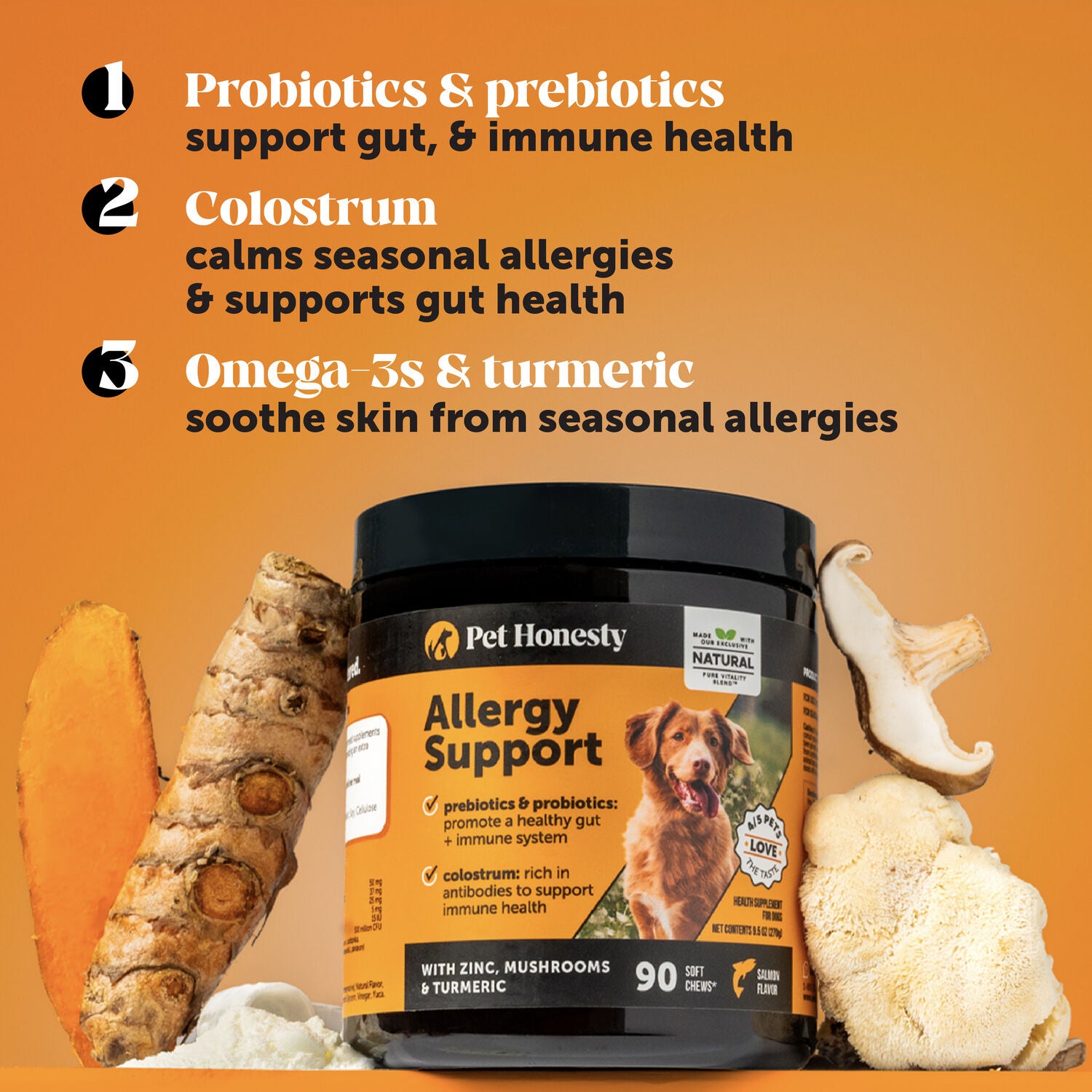 Pet Honesty Allergy Support Soft Chews Dog Supplements, Peanut Butter Flavored, 90-Count
