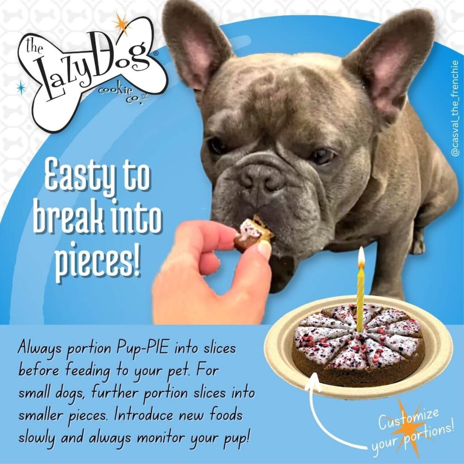 The Lazy Dog Cookie Co Happy Birthday Pup-Pie Dog Treat For A Darling Girl, 5-Oz Pie